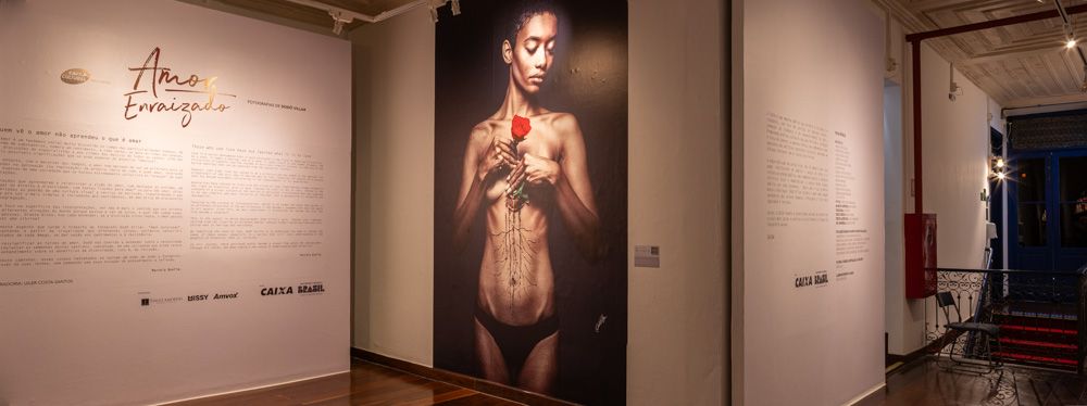 Amor Enraizado 2024 - 4 - 2