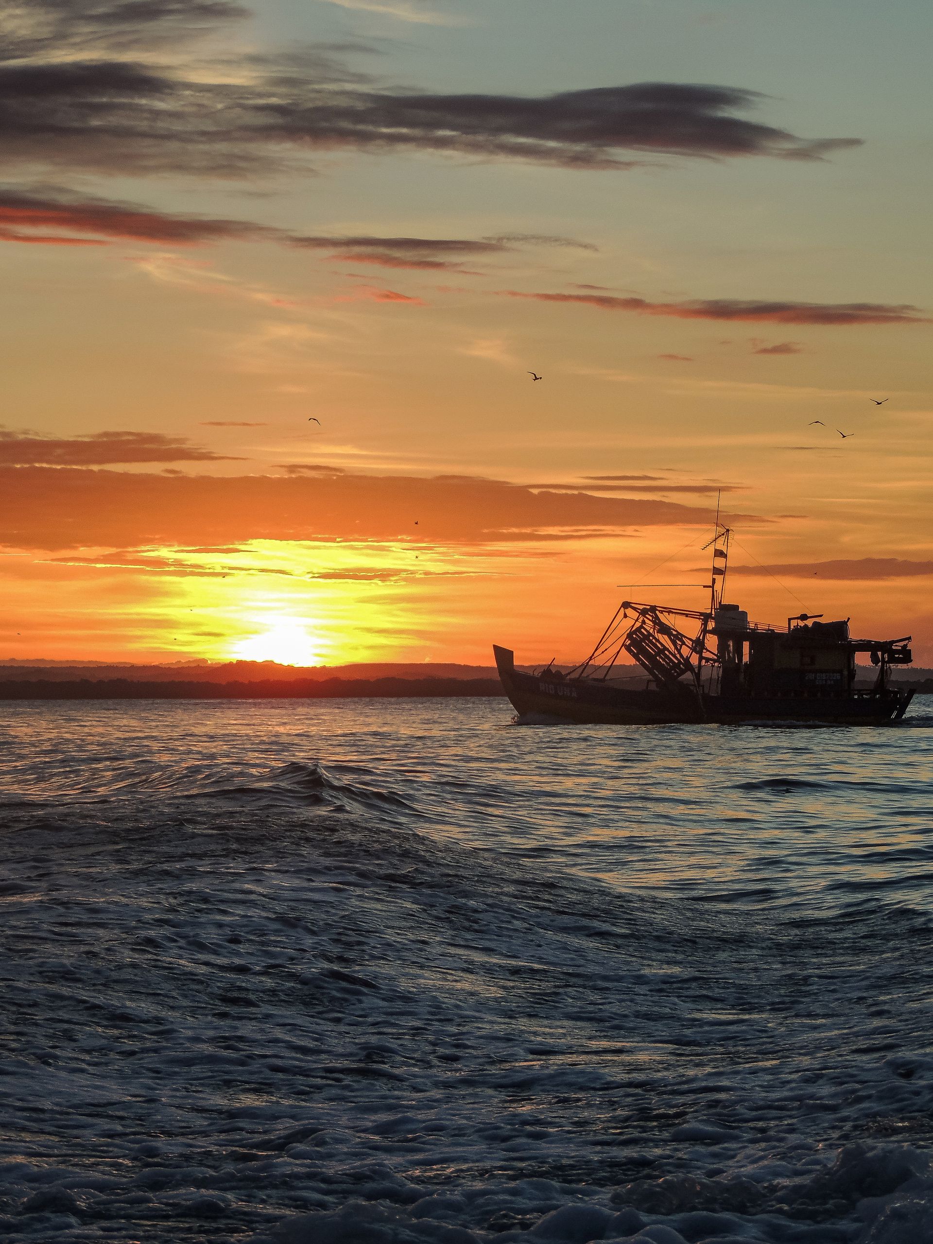 Vida numa Ilha - 2 - 1