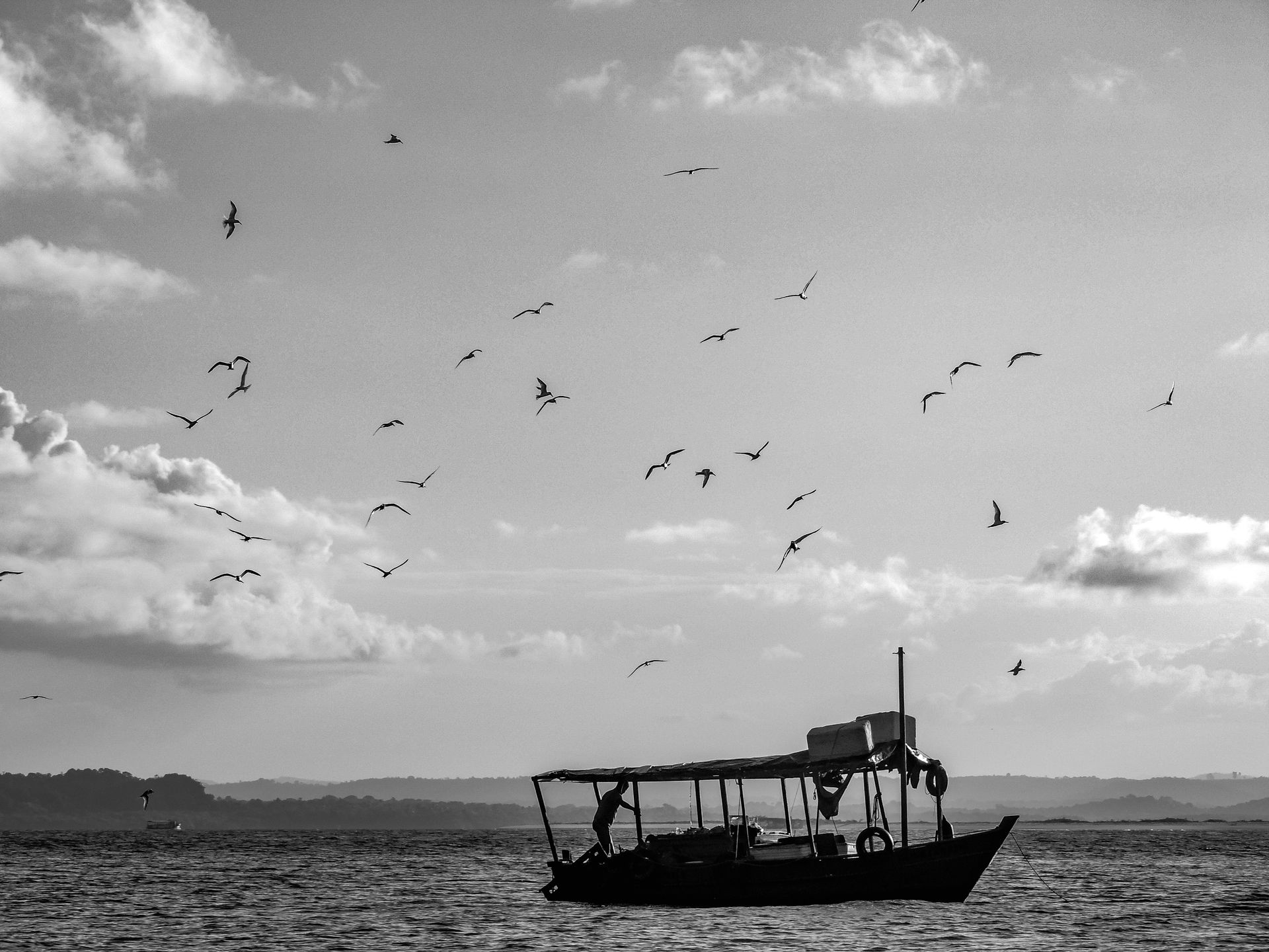 Vida numa Ilha - 2 - 1