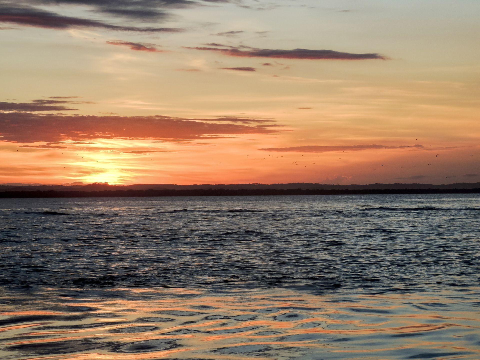 Vida numa Ilha - 2 - 0