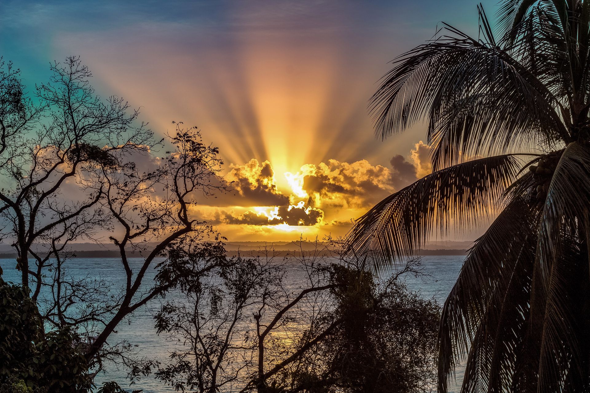 Vida numa Ilha - 2 - 1