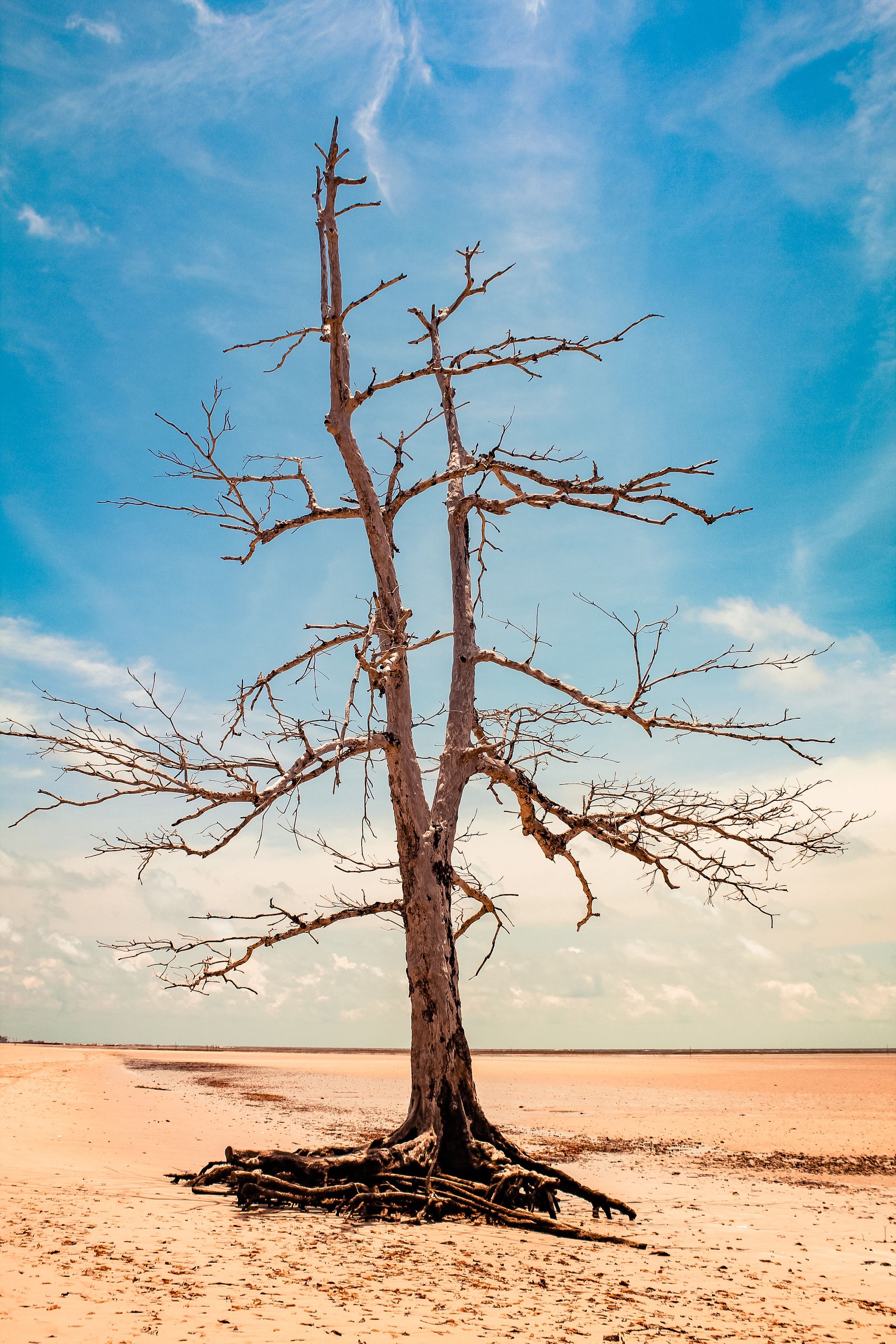 Vida numa Ilha - 2 - 0