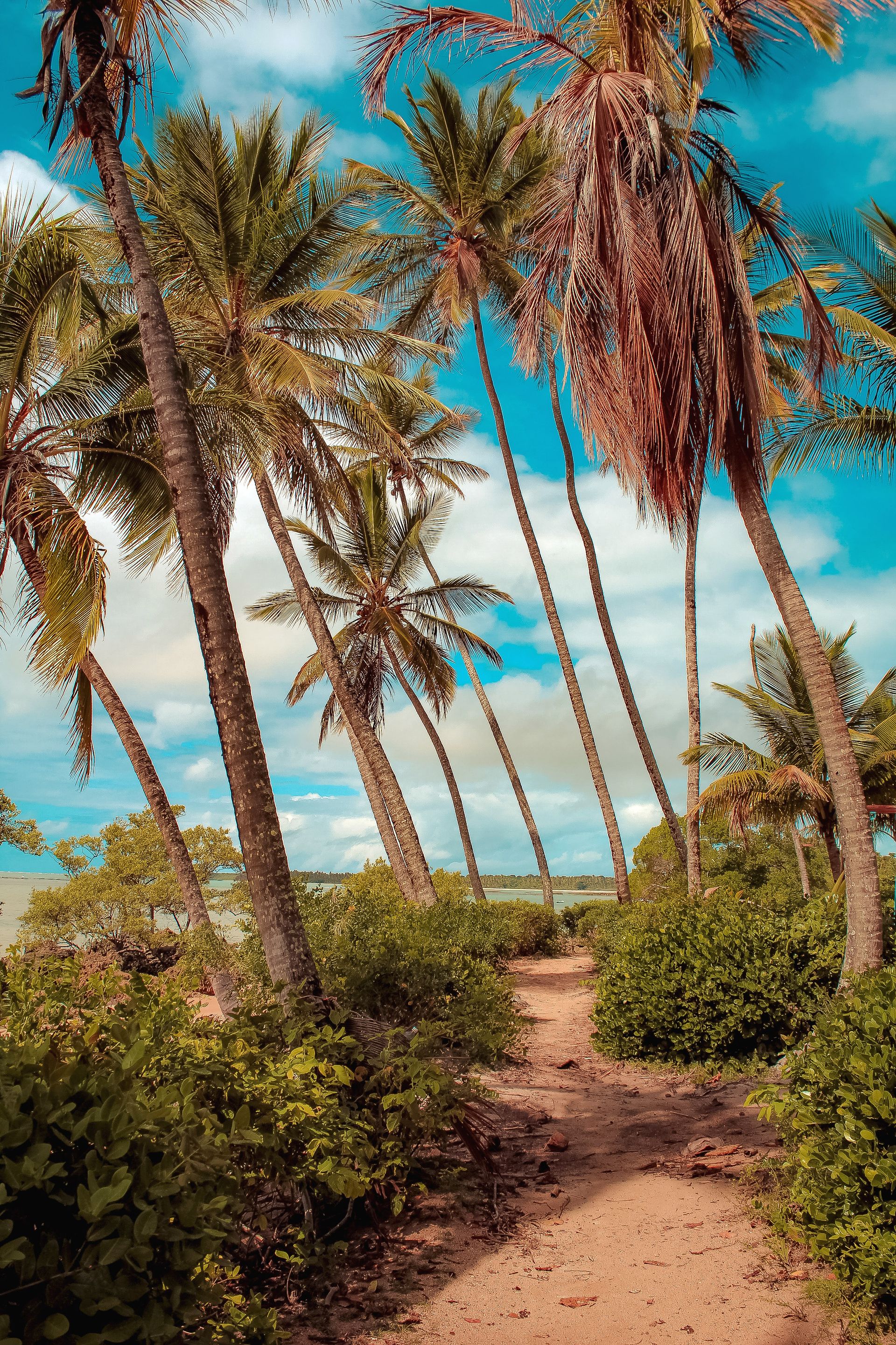 Vida numa Ilha - 2 - 0