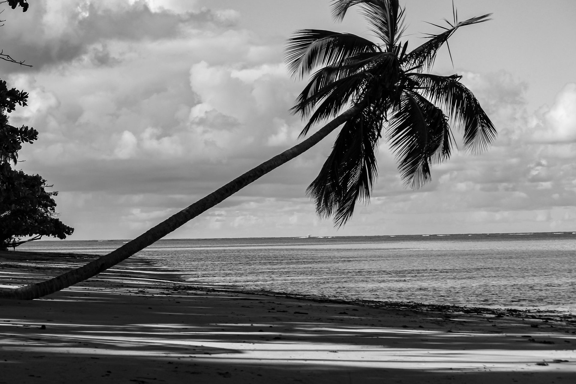 Vida numa Ilha - 2 - 1