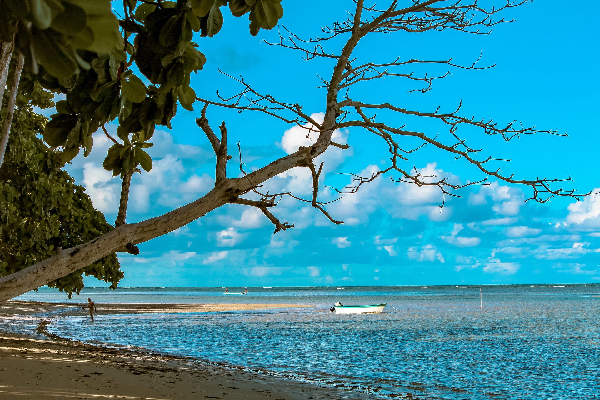 Vida numa Ilha - 2 - 1