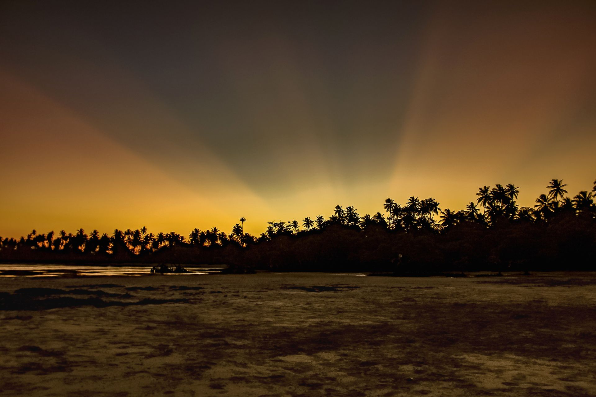 Vida numa Ilha - 2 - 0