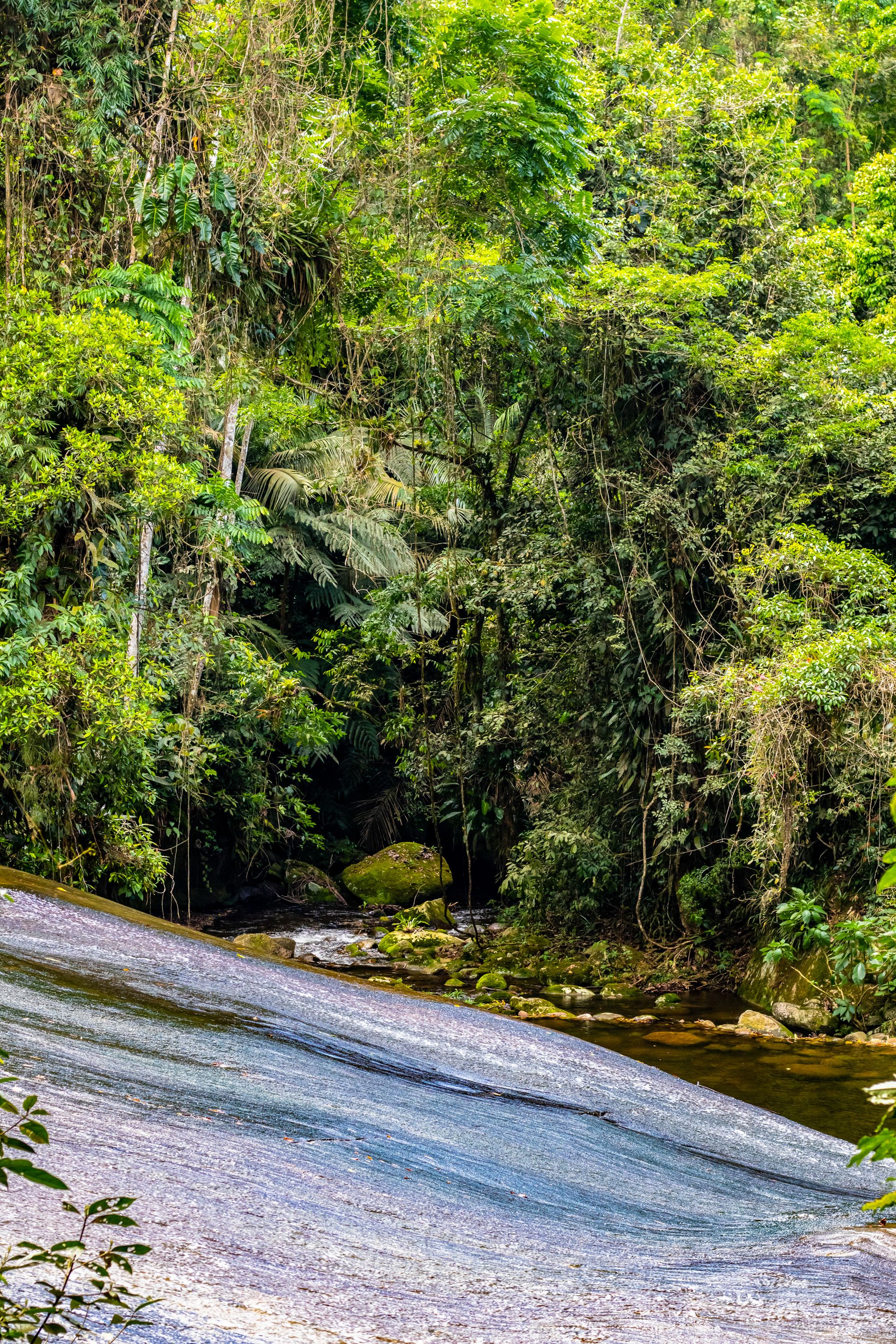 No coração da Mata Atlântica - 3 - 0