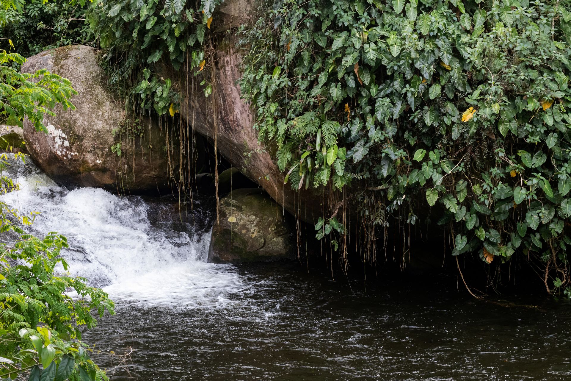 No coração da Mata Atlântica - 3 - 0