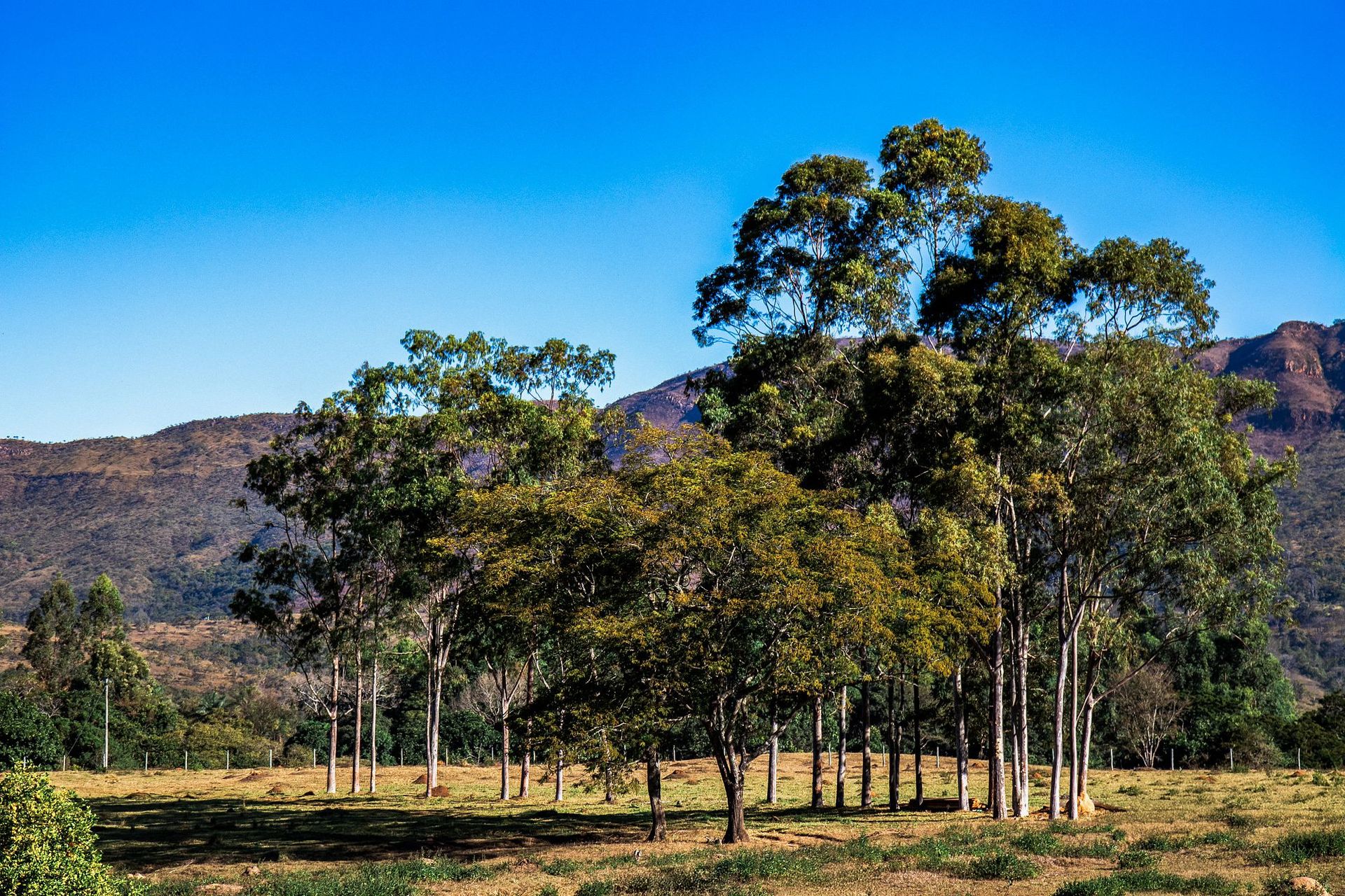 Canastra Feelings - 2 - 1