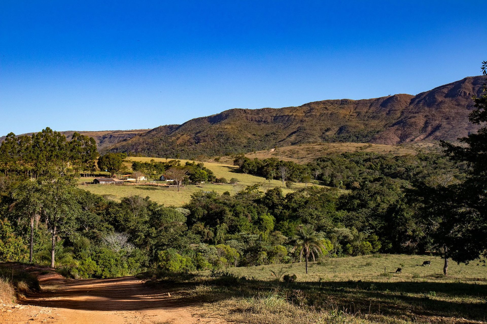 Canastra Feelings - 2 - 1