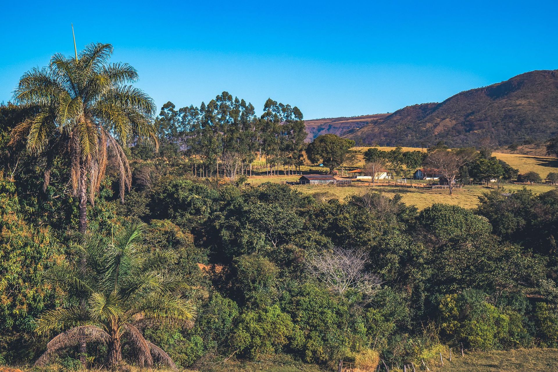 Canastra Feelings - 2 - 0