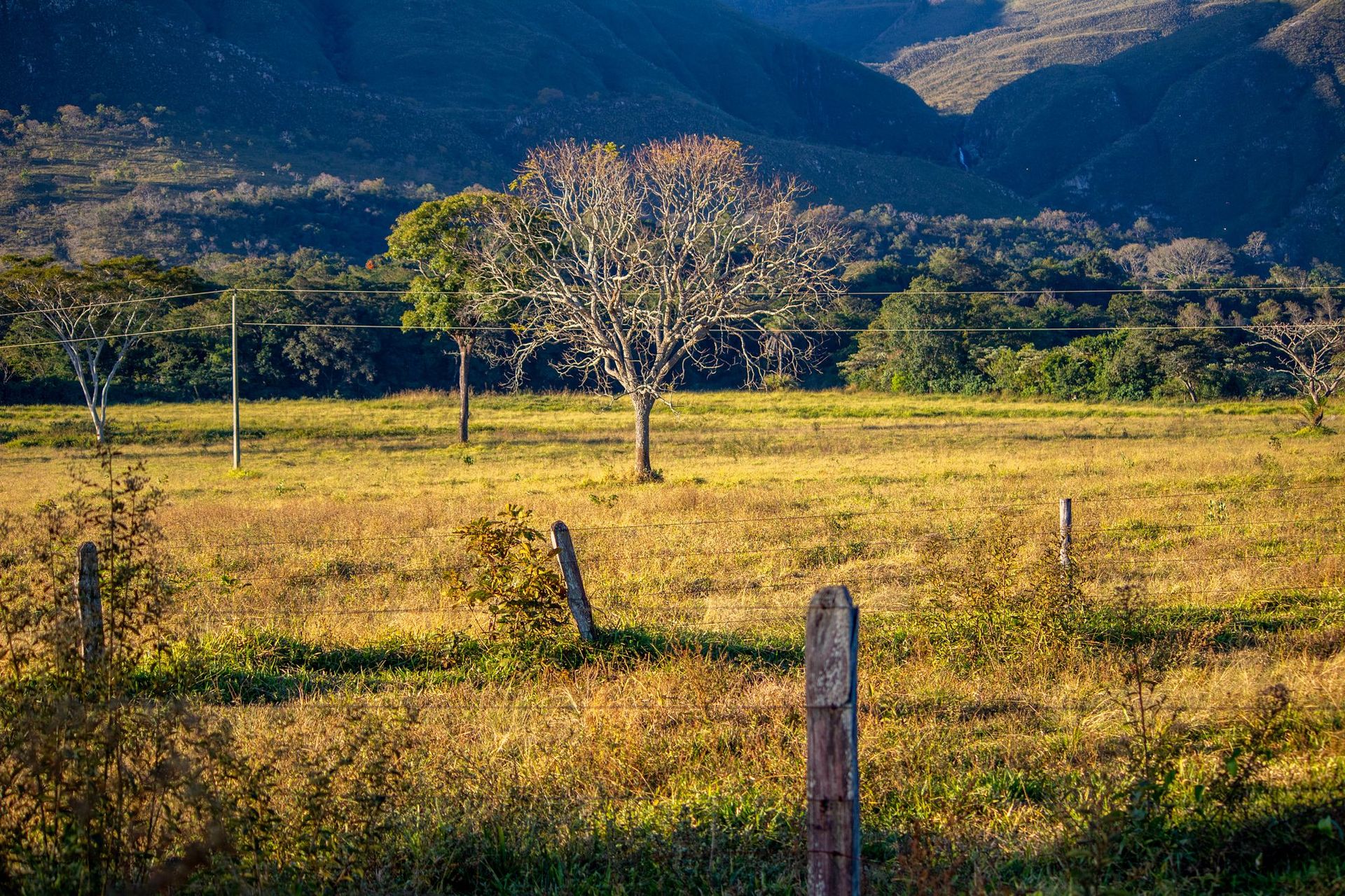 Canastra Feelings - 2 - 0