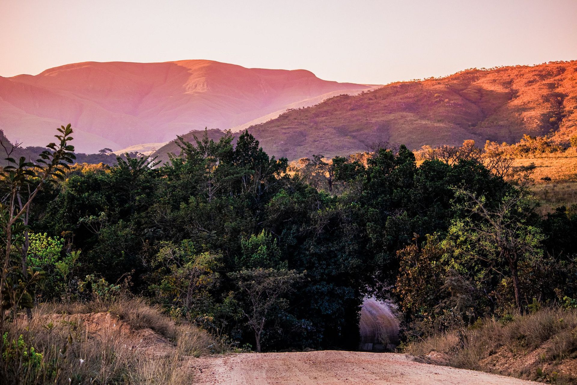 Canastra Feelings - 2 - 0