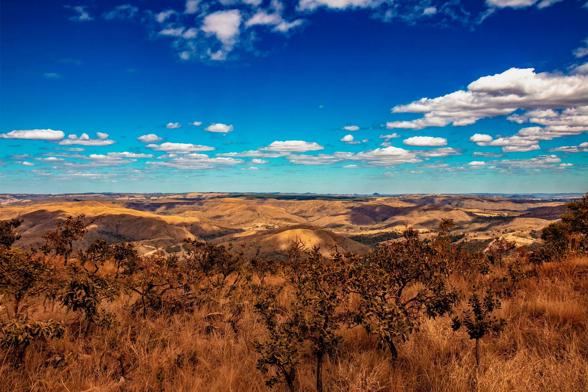 Canastra Feelings - 2 - 0