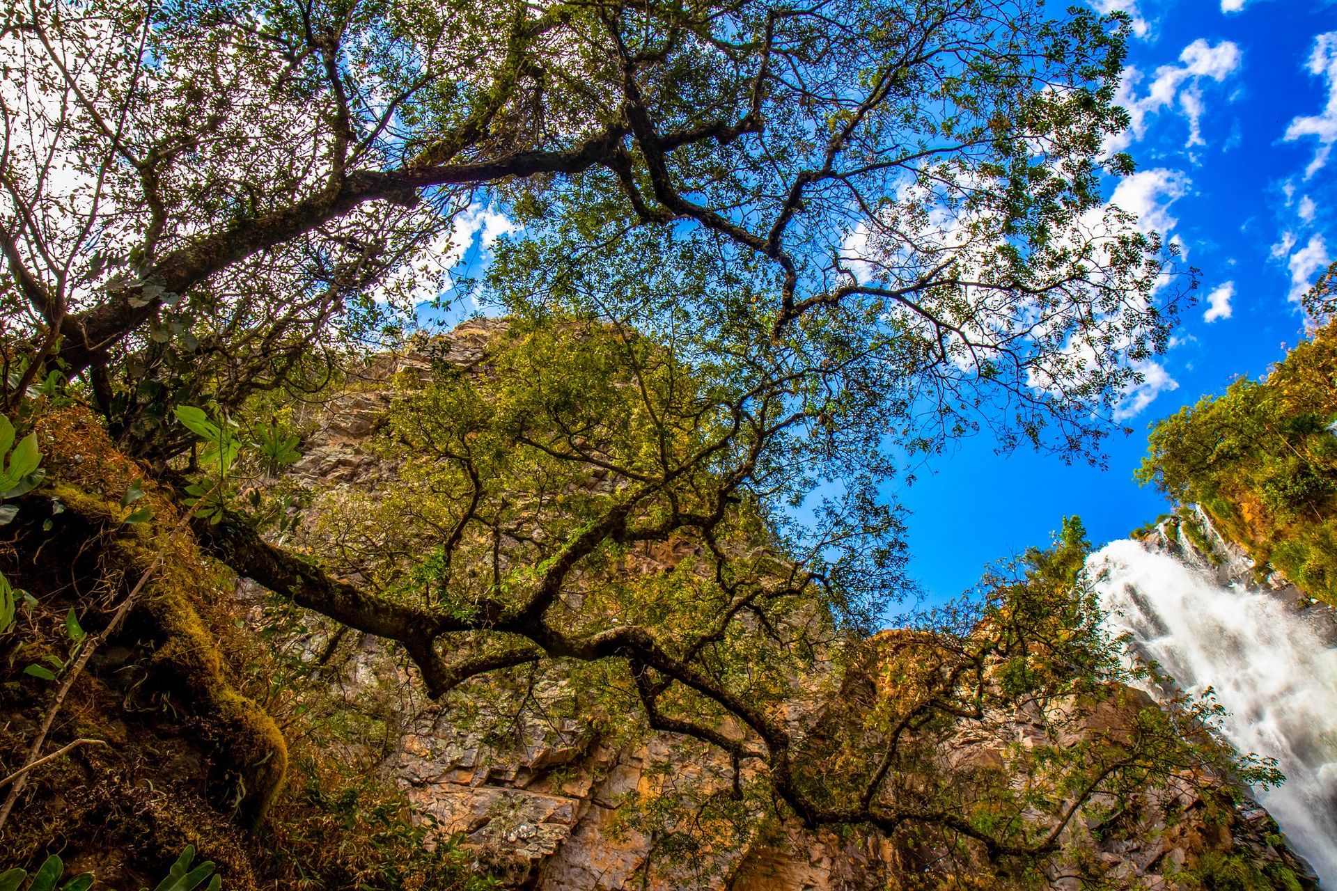 Canastra Feelings - 2 - 1