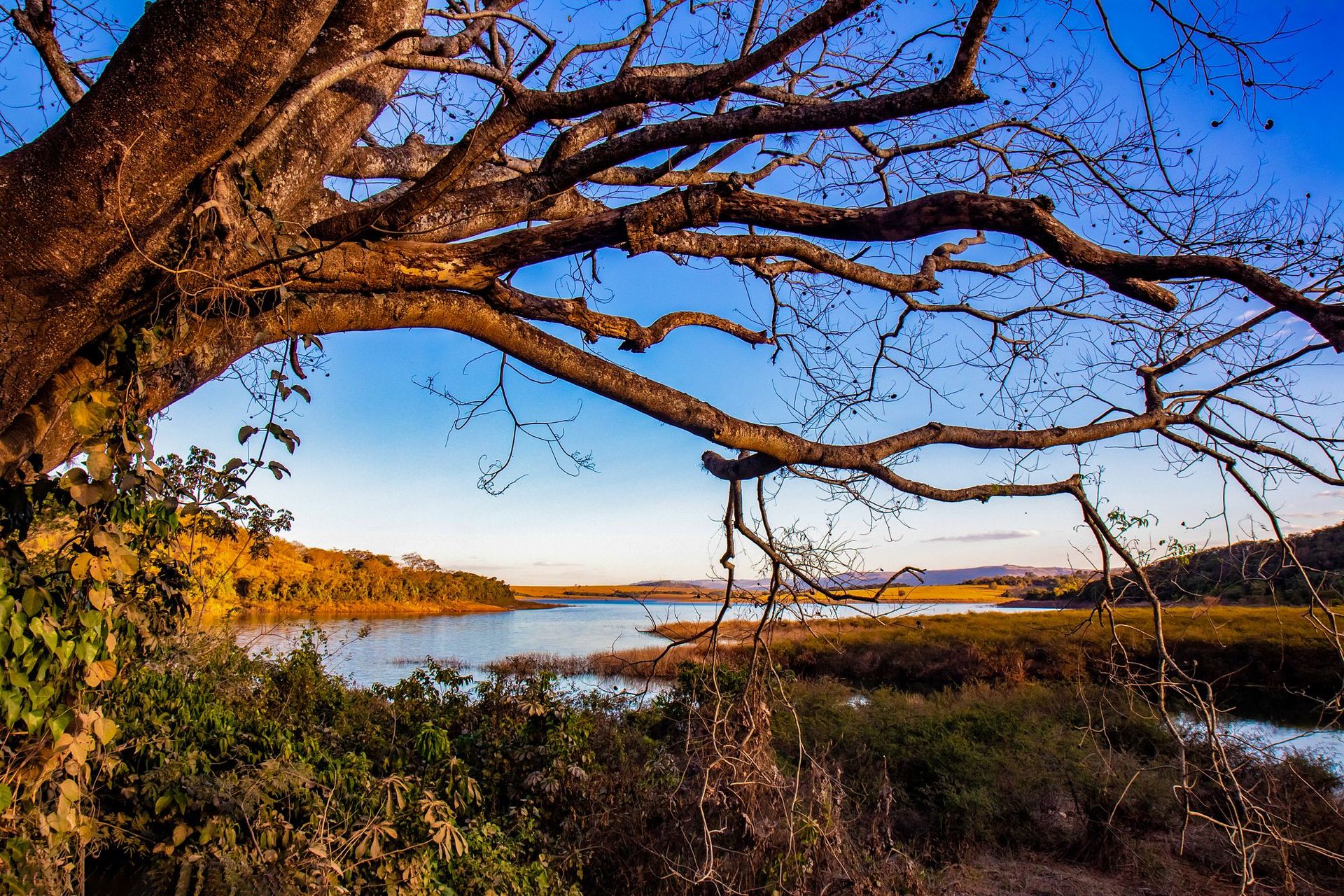 Canastra Feelings - 2 - 1