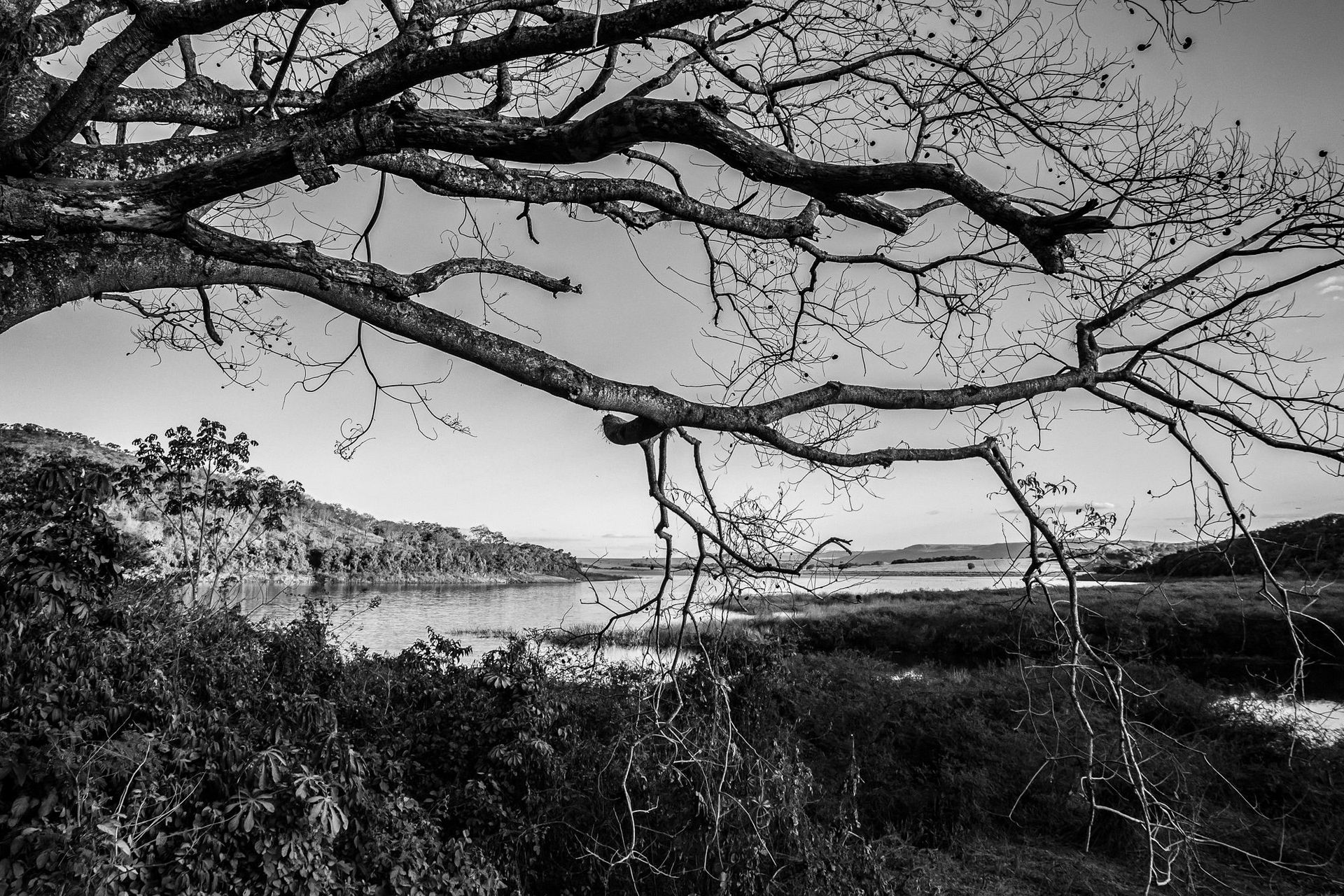 Canastra Feelings - 2 - 1