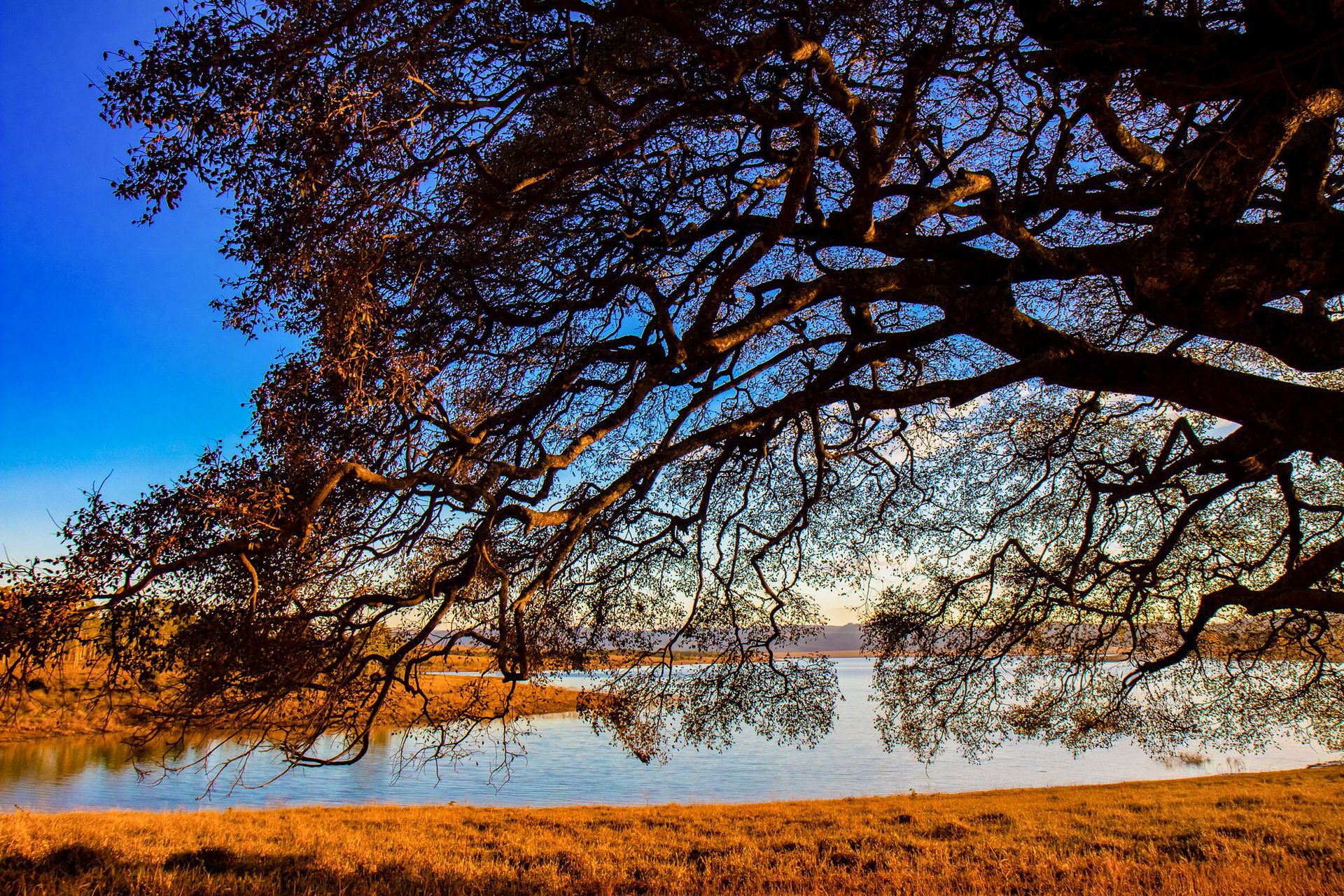 Canastra Feelings - 2 - 1