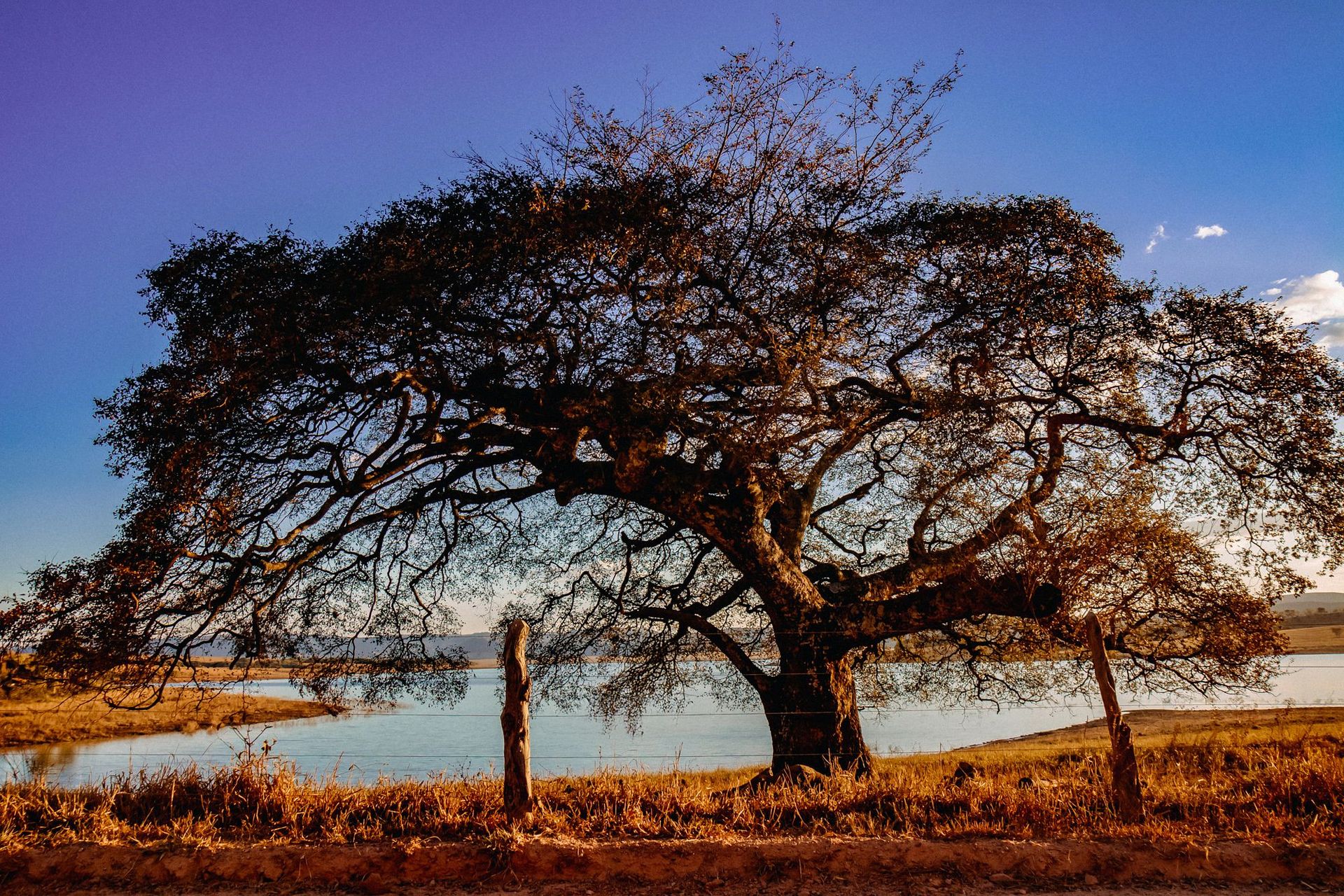 Canastra Feelings - 2 - 0