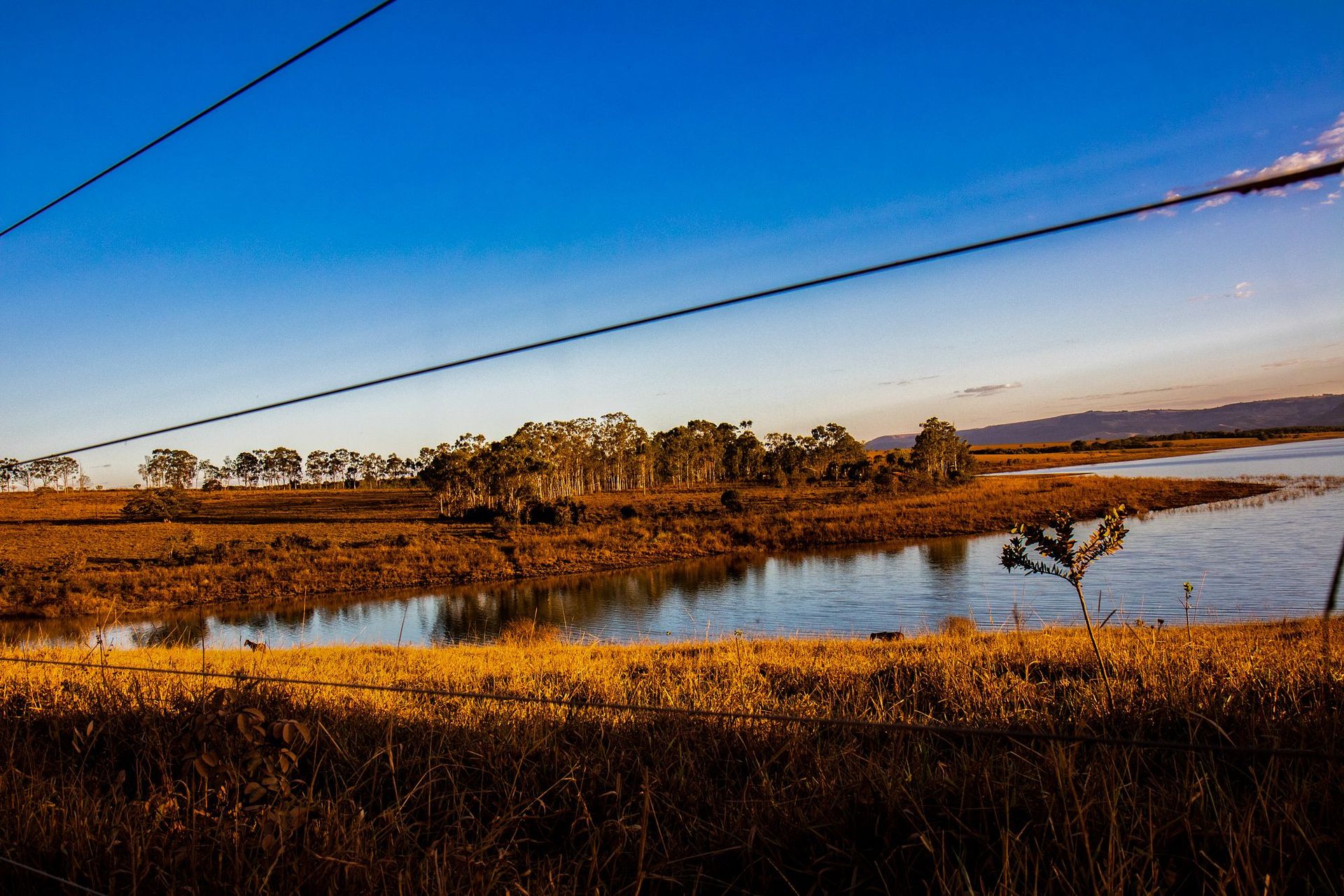 Canastra Feelings - 2 - 1