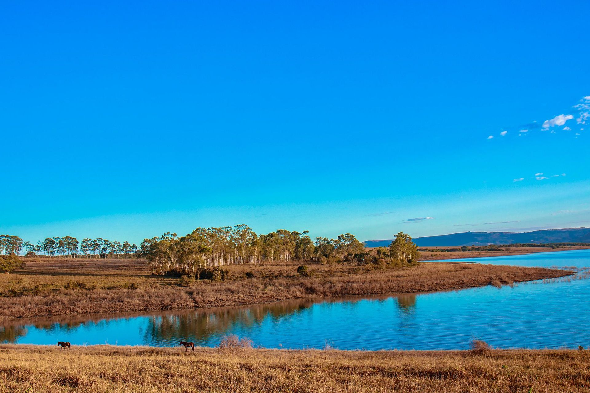 Canastra Feelings - 2 - 0