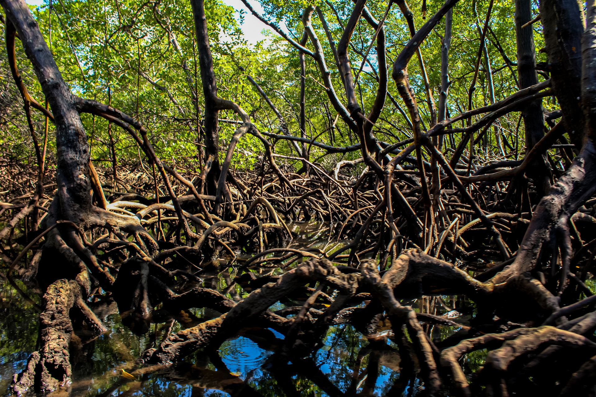 Vila de Garapuá - 2 - 0