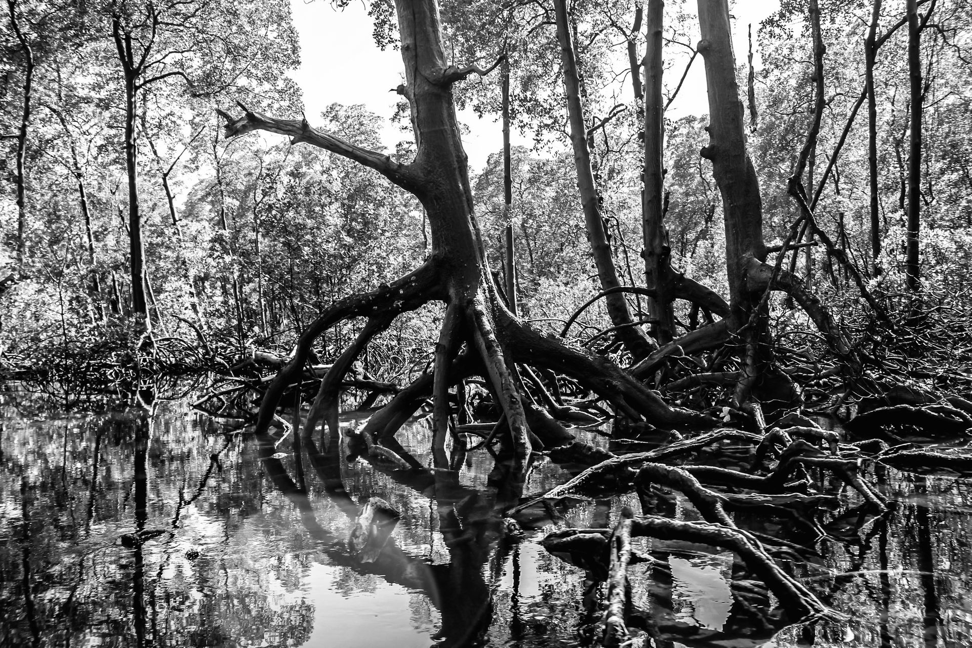 Vila de Garapuá - 2 - 1