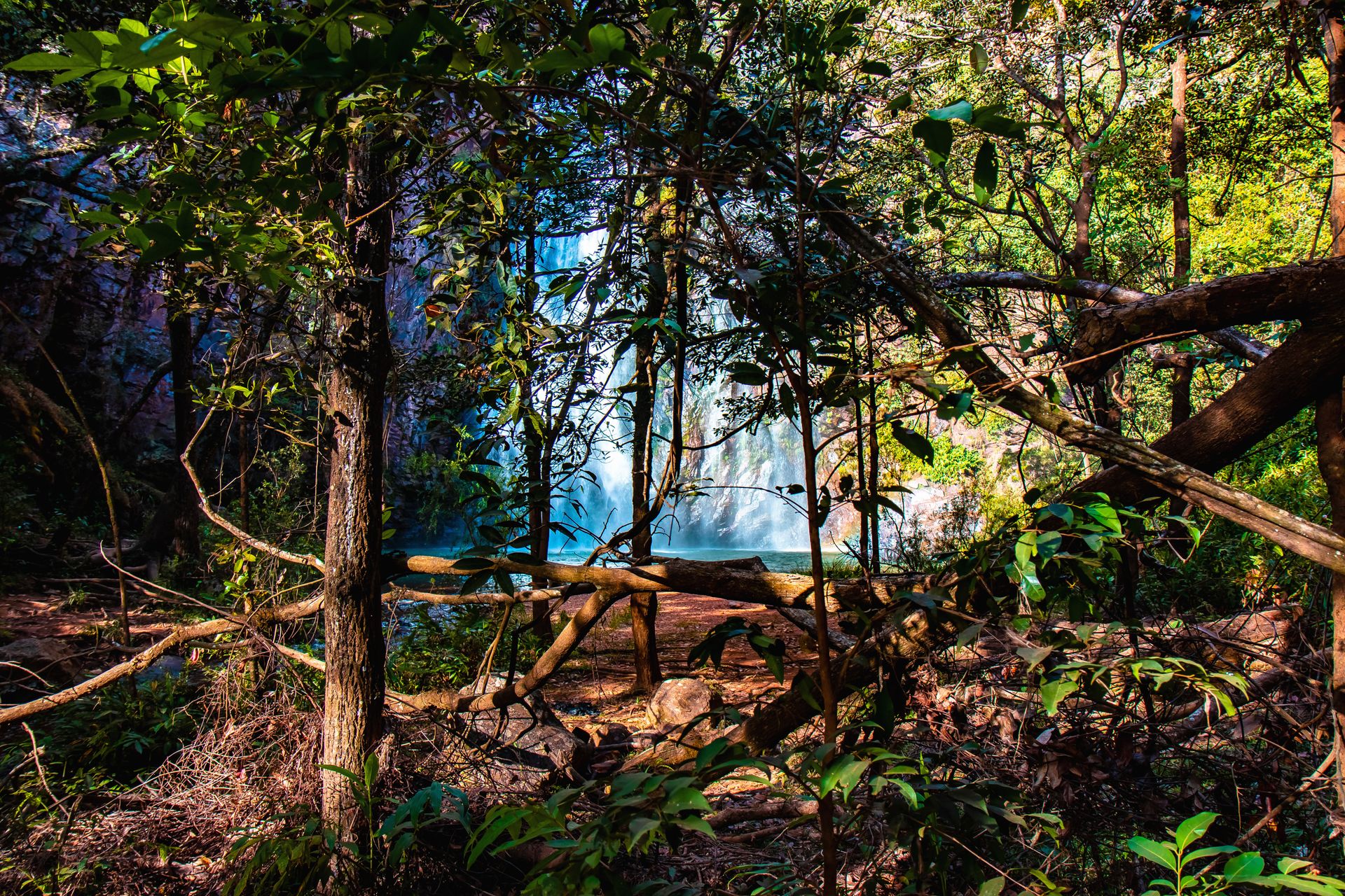 Canastra Feelings - 2 - 1