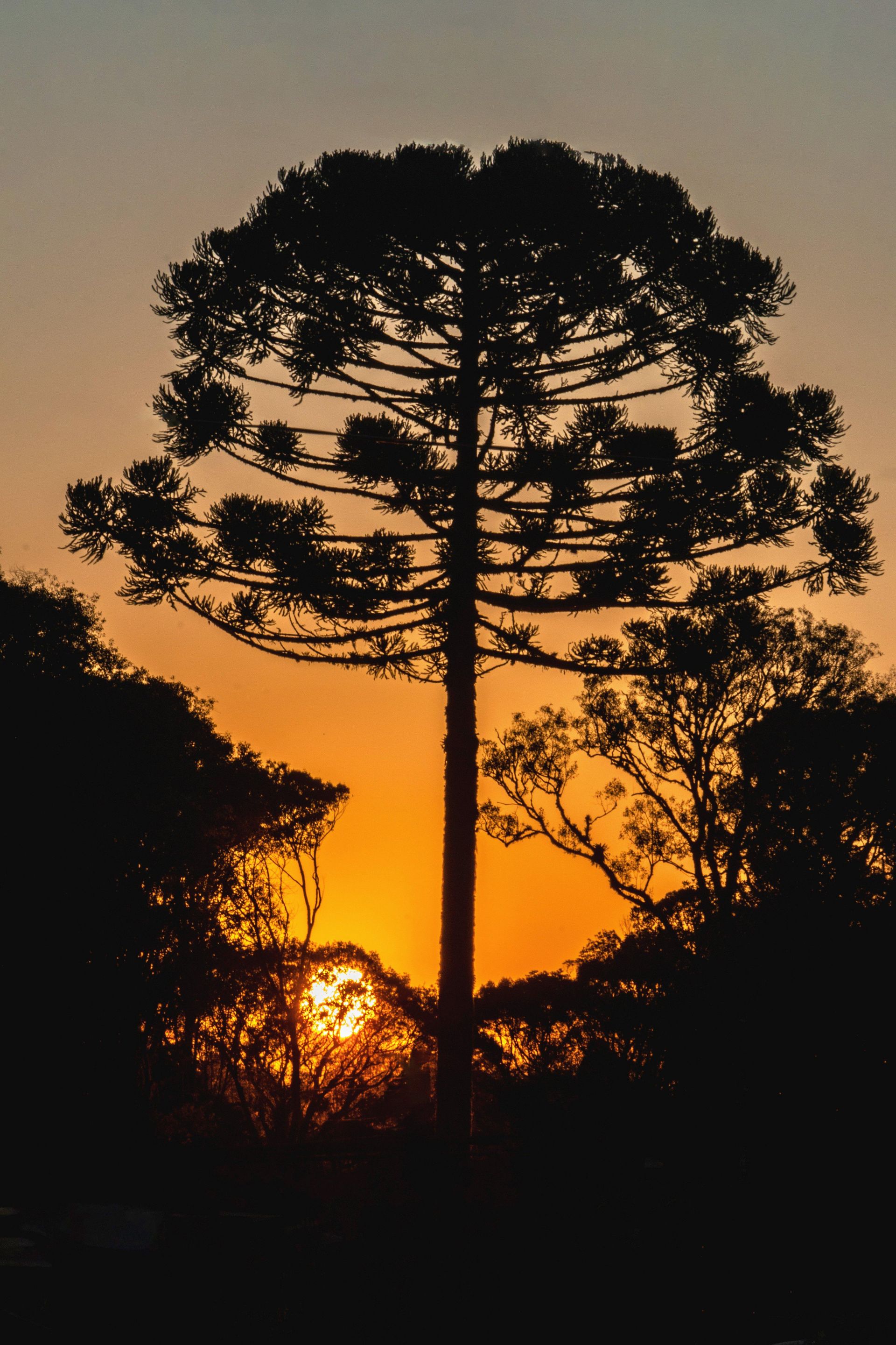 Gramado Inesquecível - 2 - 0