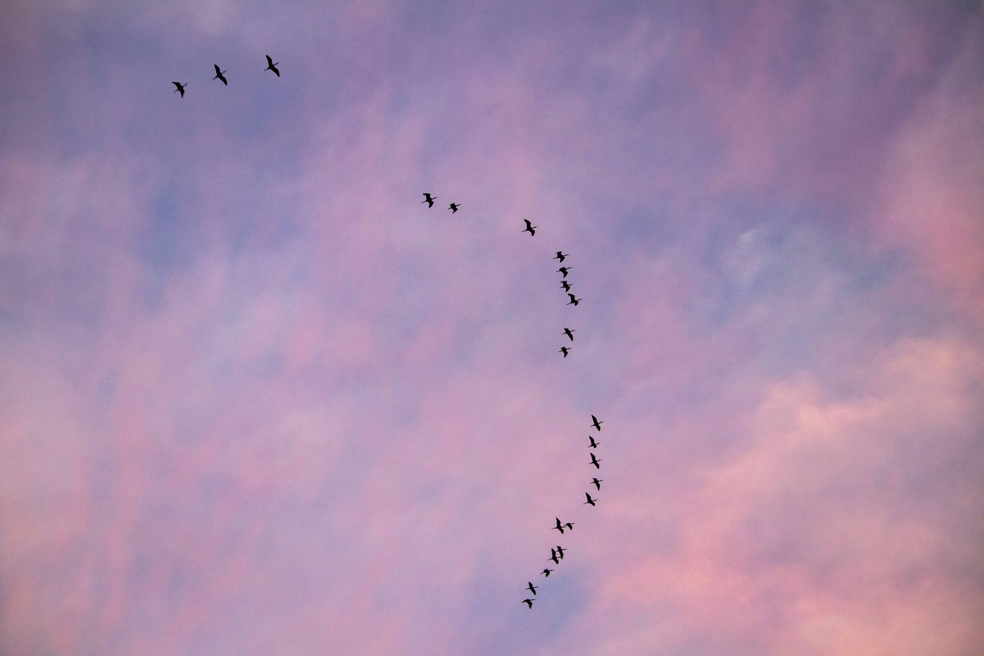 Gramado Inesquecível - 2 - 0