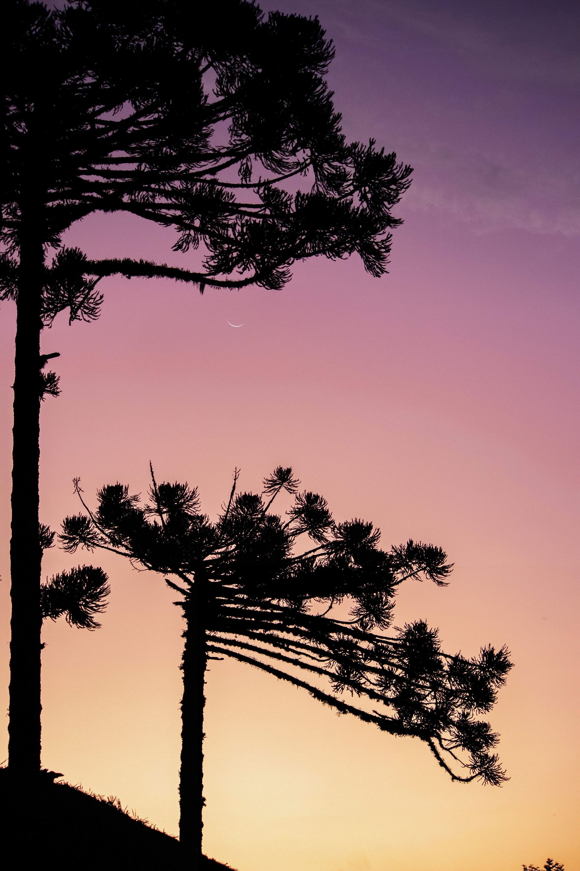 Gramado Inesquecível - 2 - 1