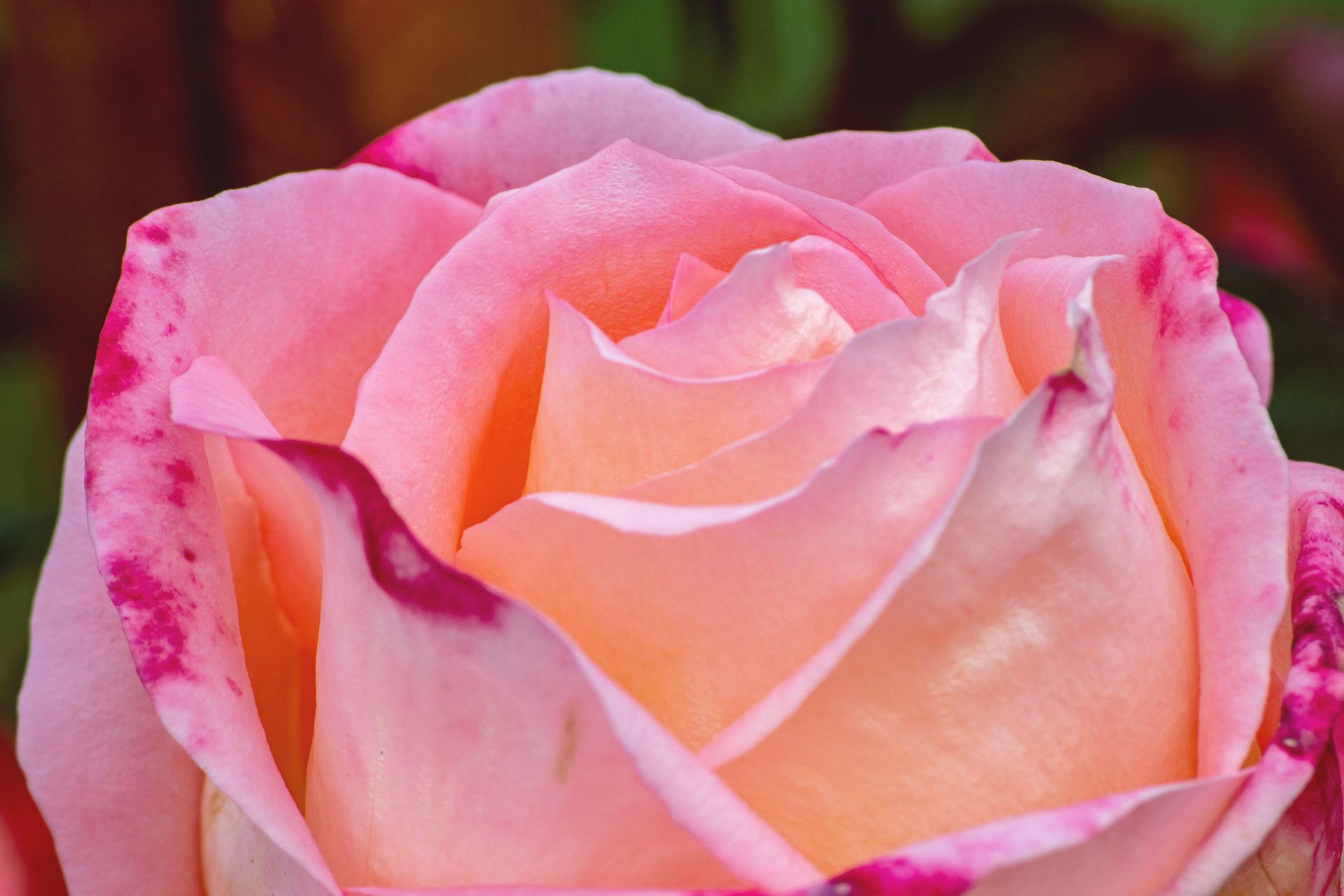 Gramado Inesquecível - 2 - 0