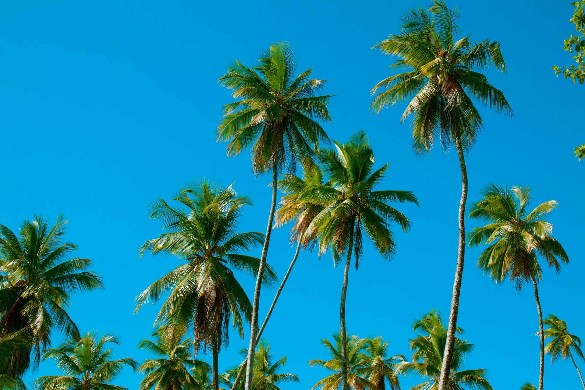 Morro de amores - Morro de São Paulo - 2 - 1