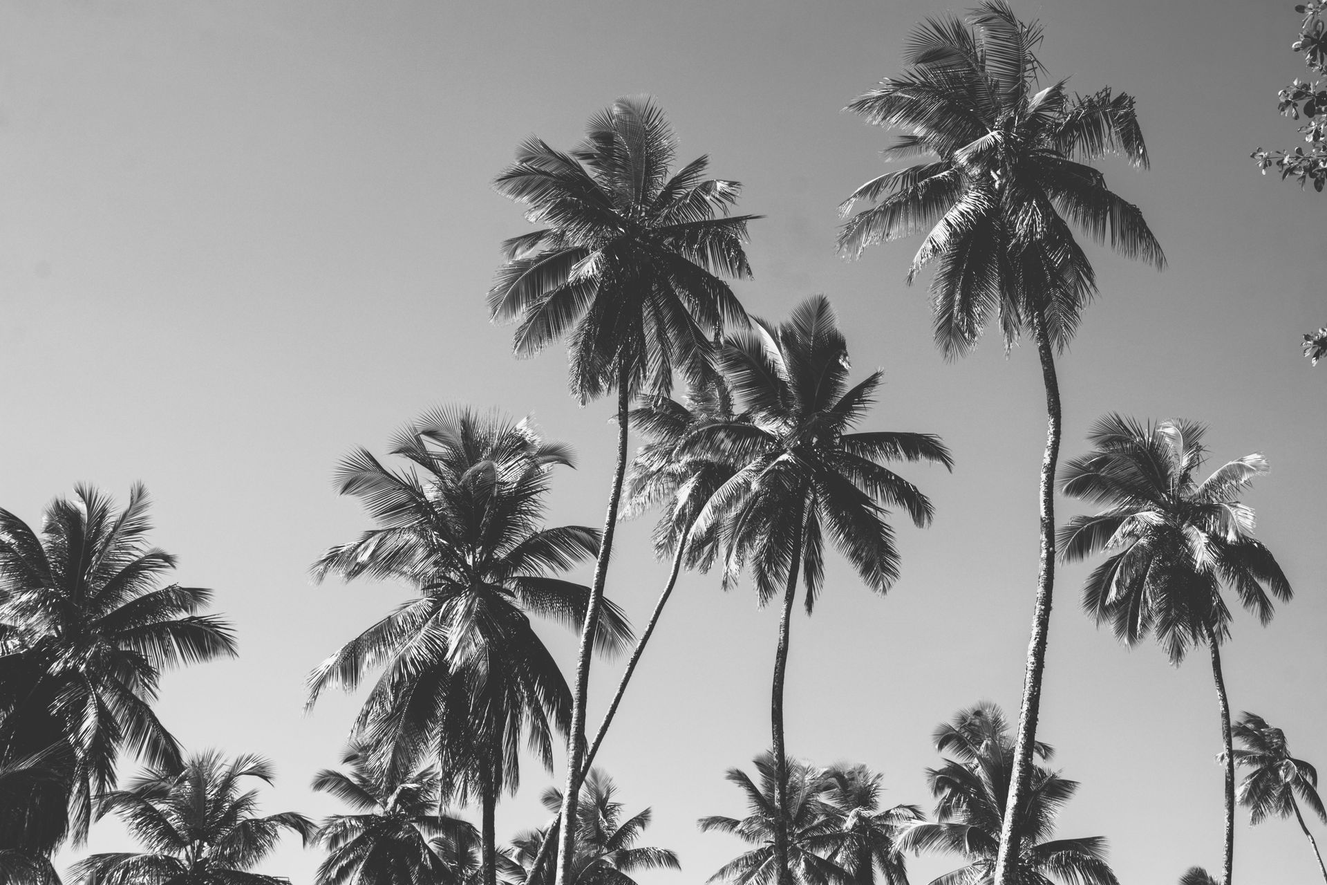 Morro de amores - Morro de São Paulo - 2 - 0