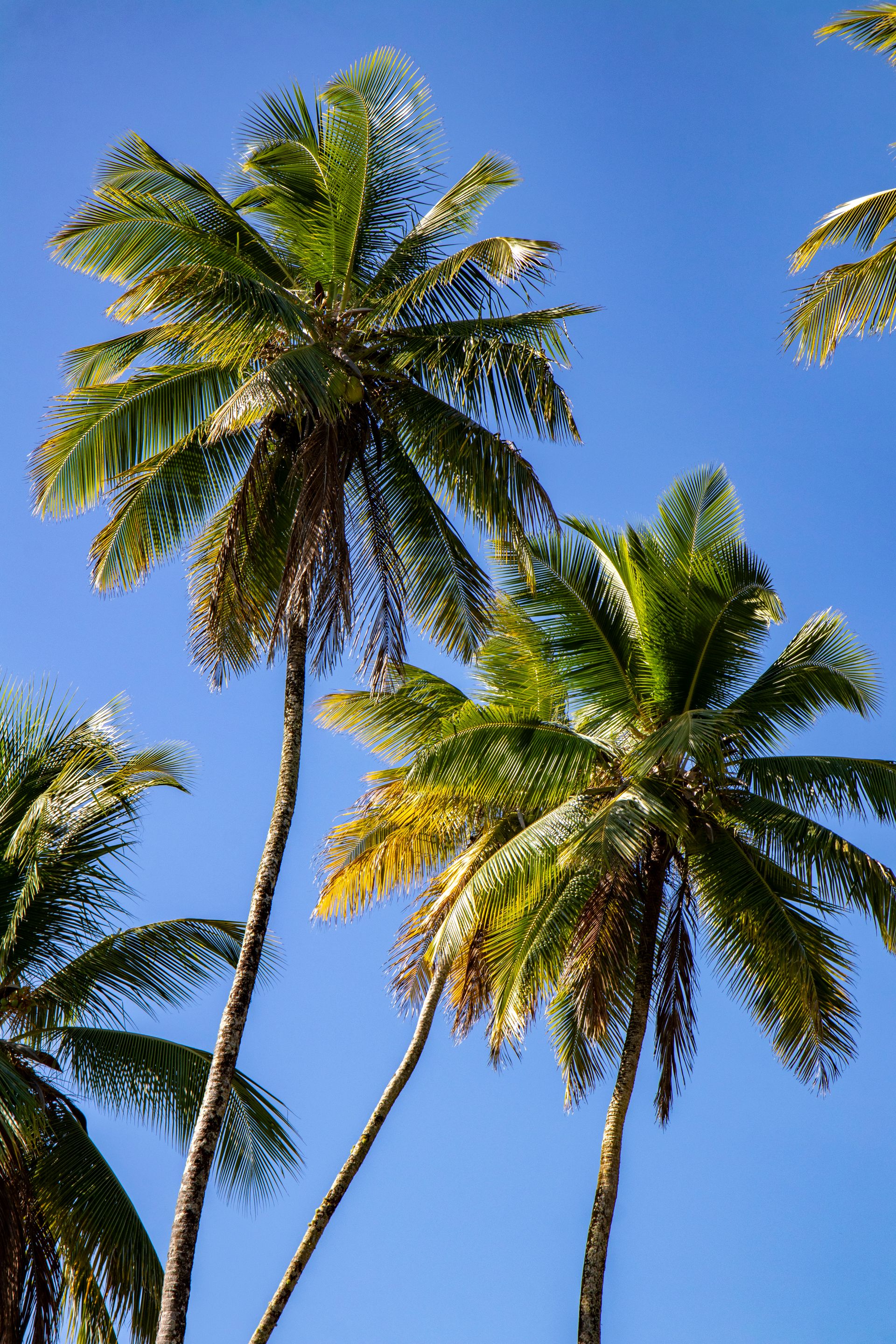 Morro de amores - Morro de São Paulo - 2 - 0