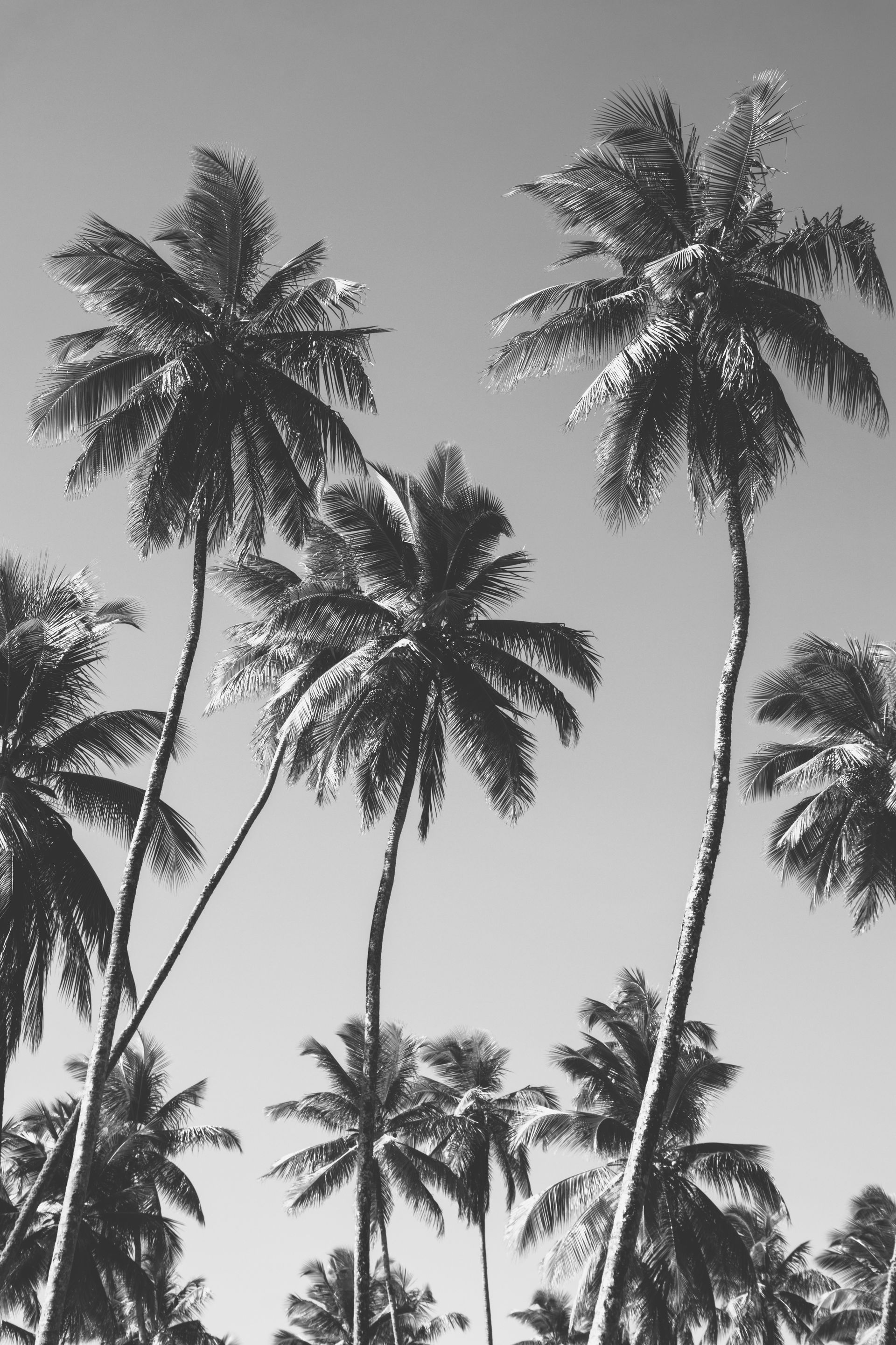 Morro de amores - Morro de São Paulo - 2 - 1