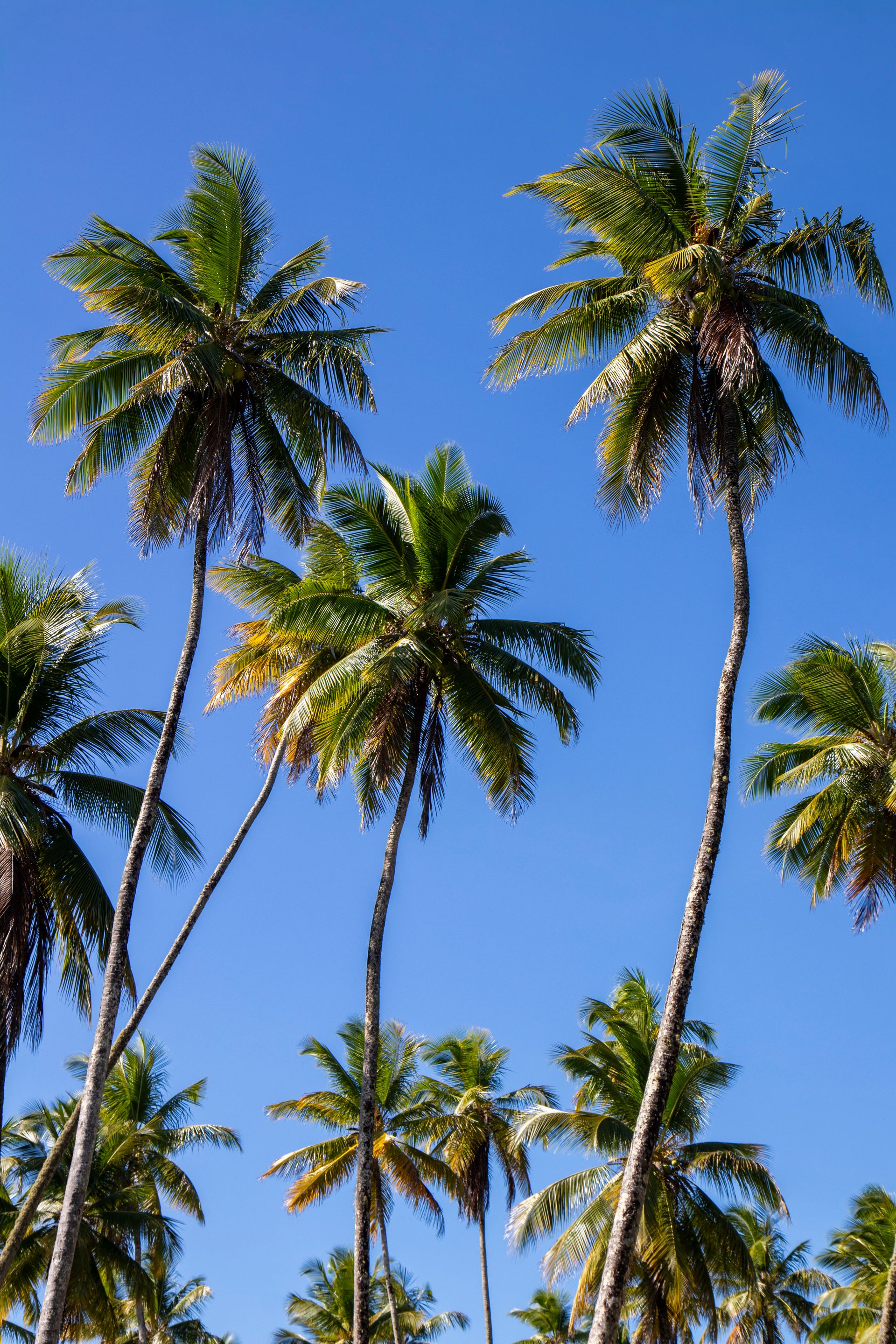 Morro de amores - Morro de São Paulo - 2 - 1