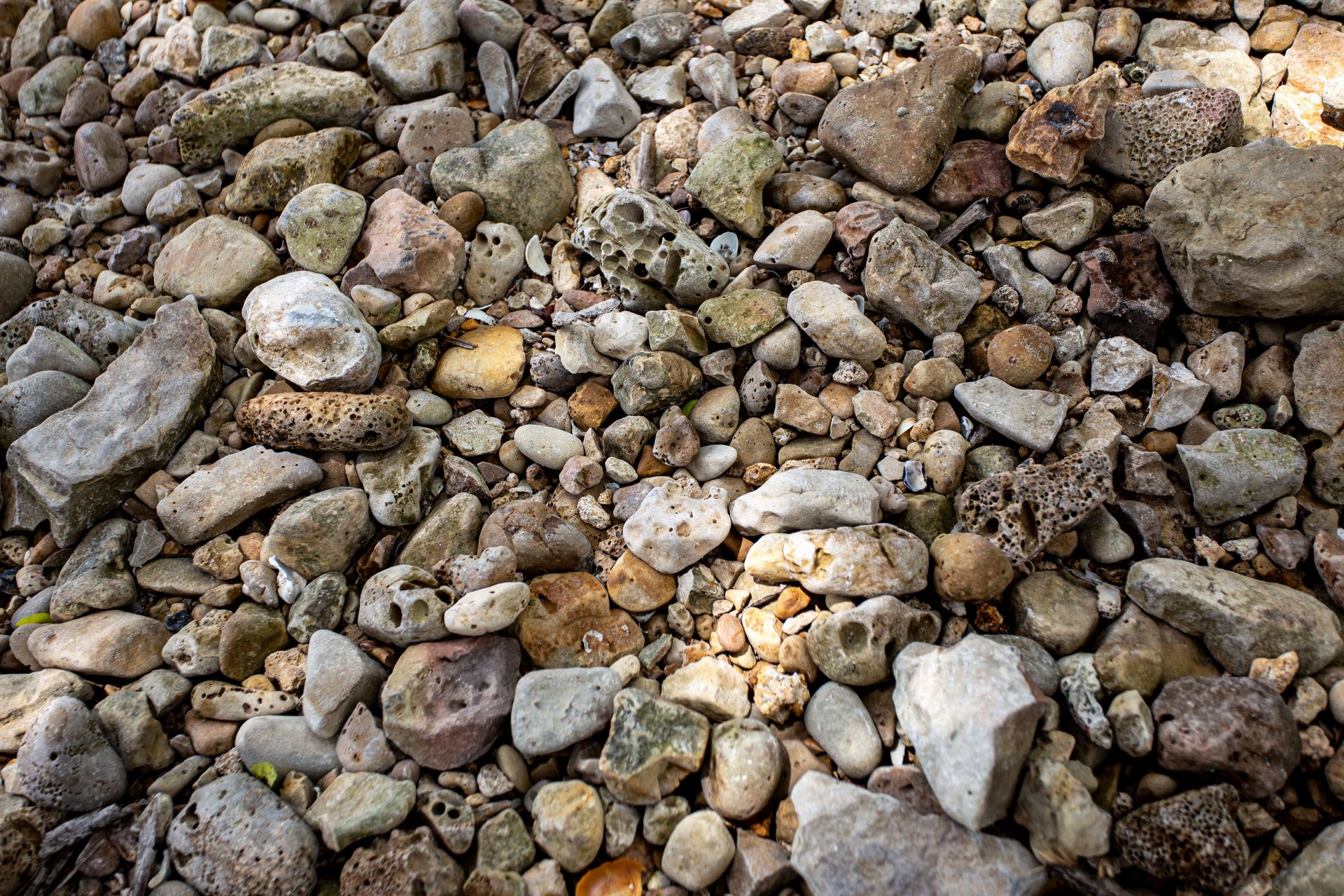 Encantos de Moreré - 2 - 1