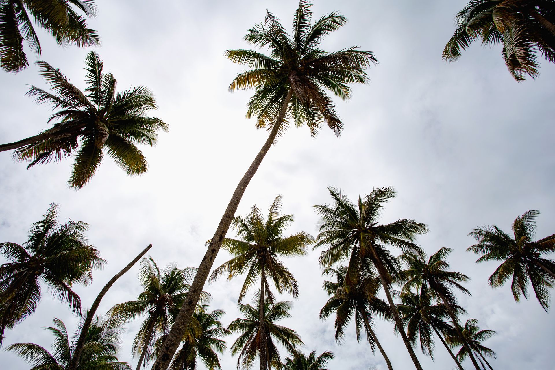 Encantos de Moreré - 2 - 0