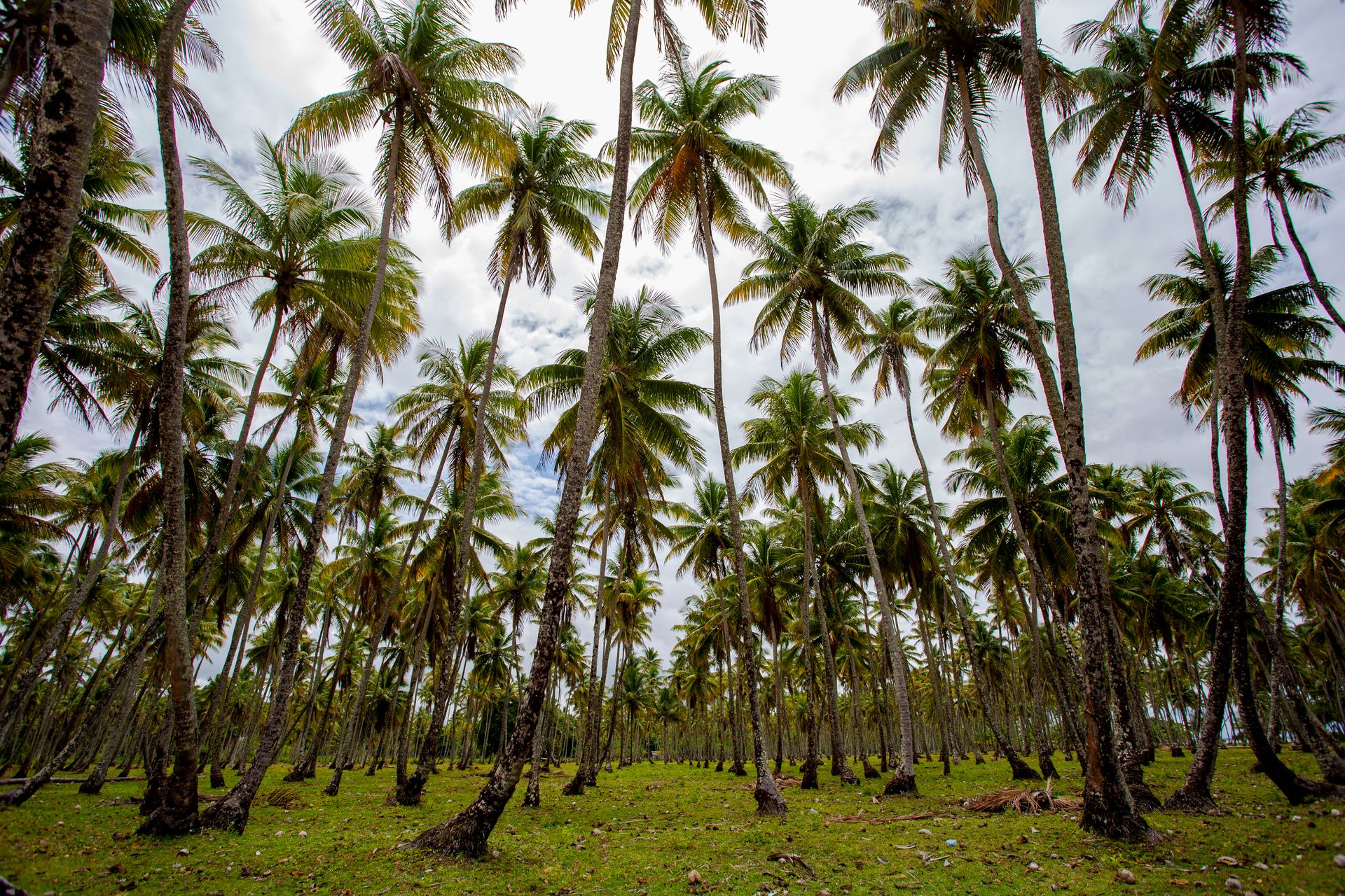 Encantos de Moreré - 2 - 1