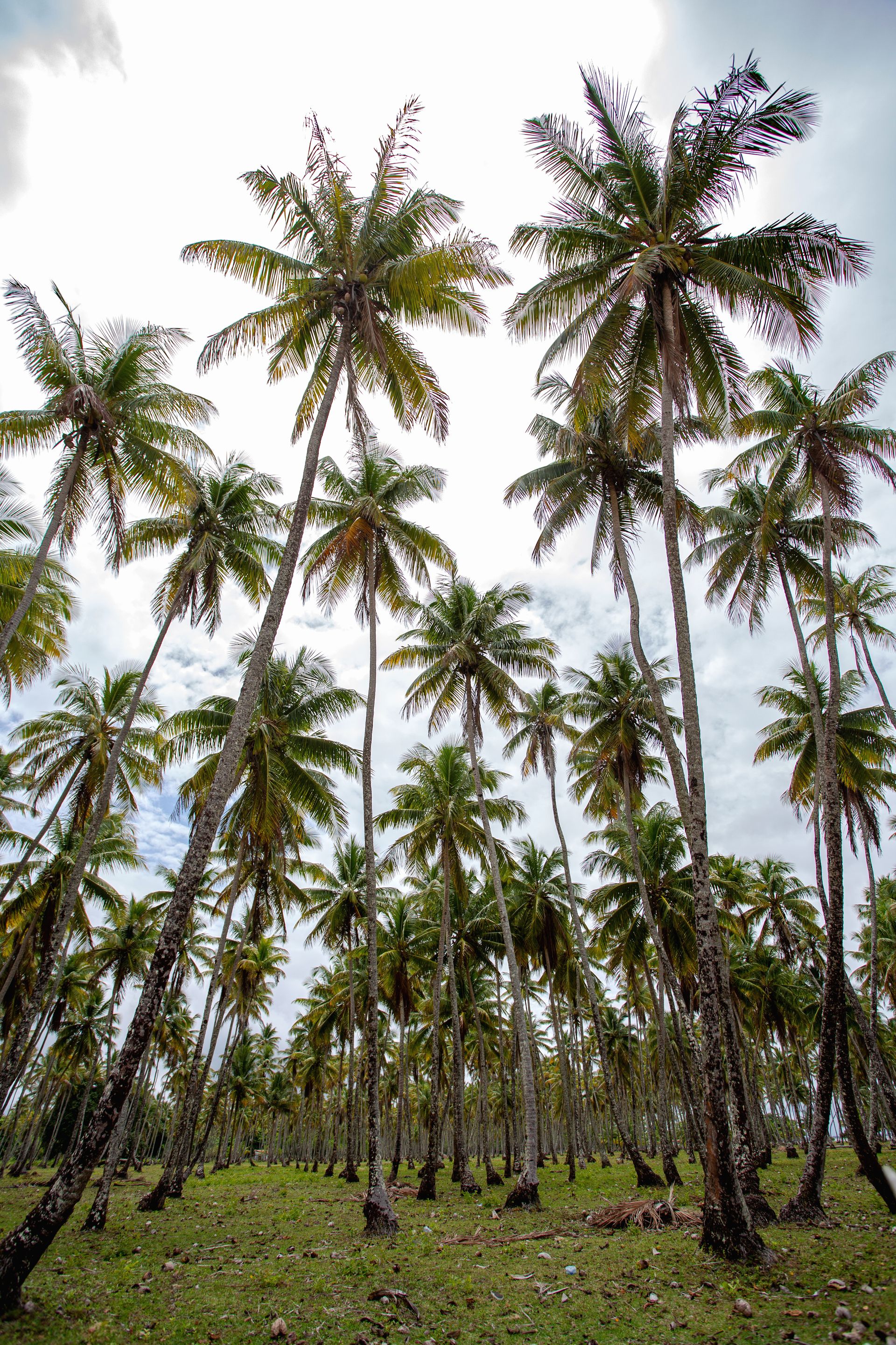 Encantos de Moreré - 2 - 0