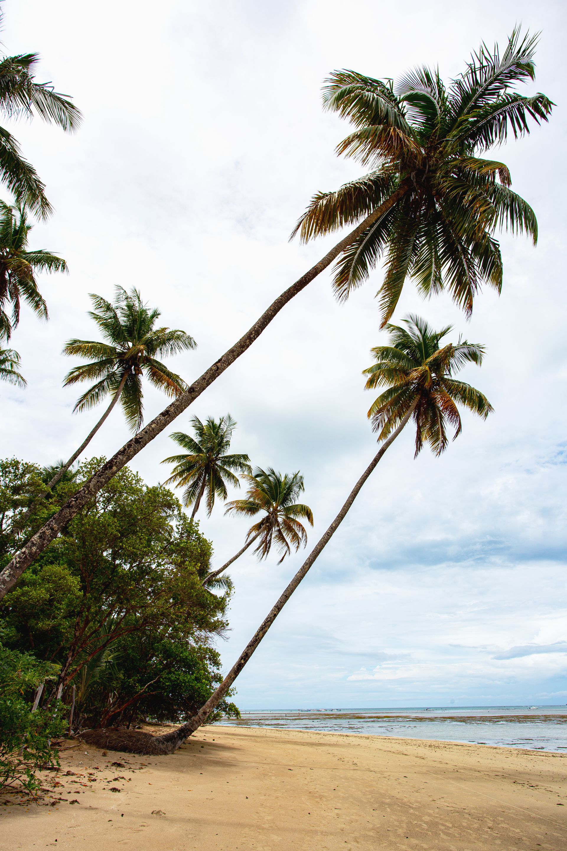 Encantos de Moreré - 2 - 0