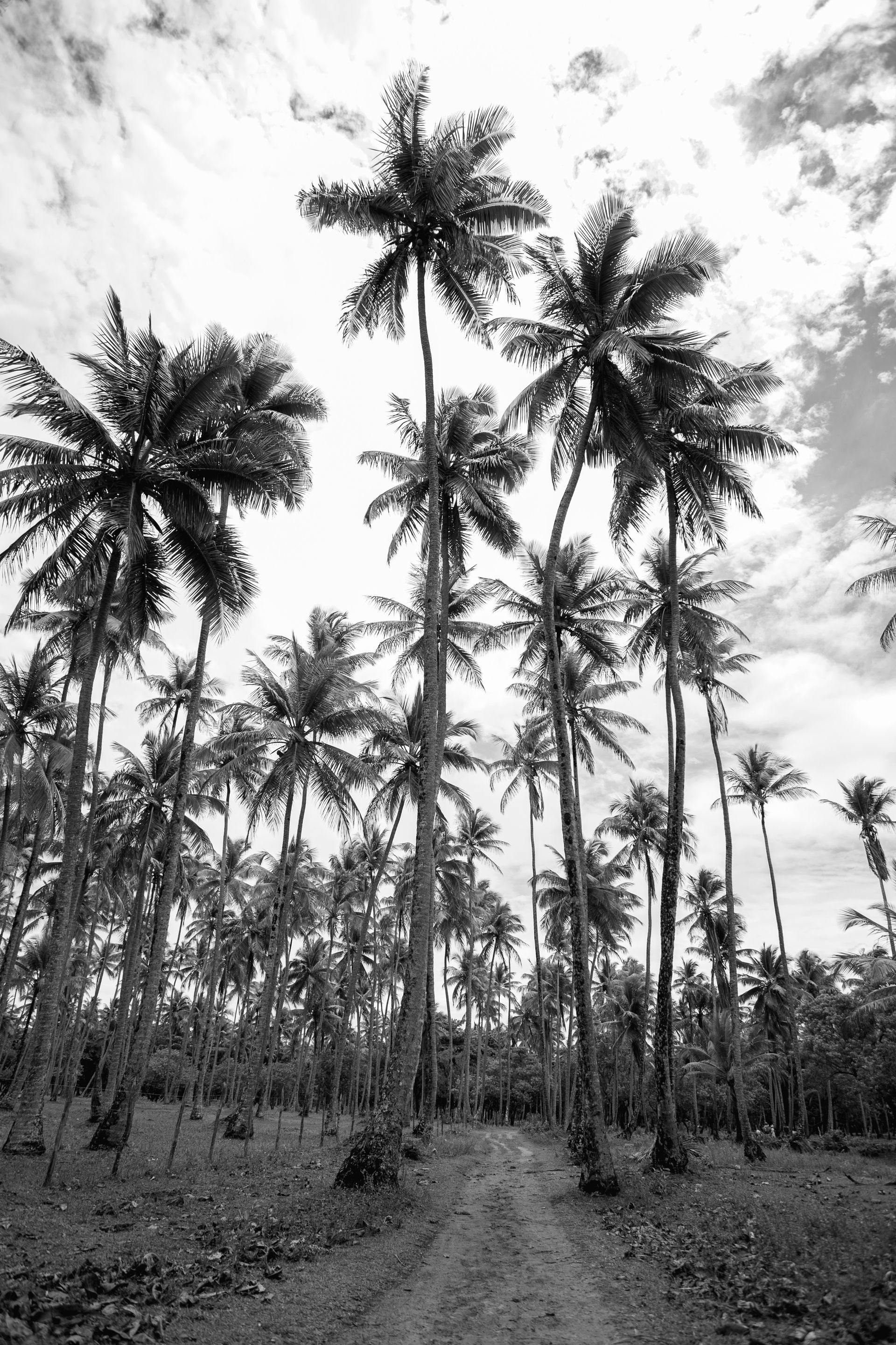 Encantos de Moreré - 2 - 1