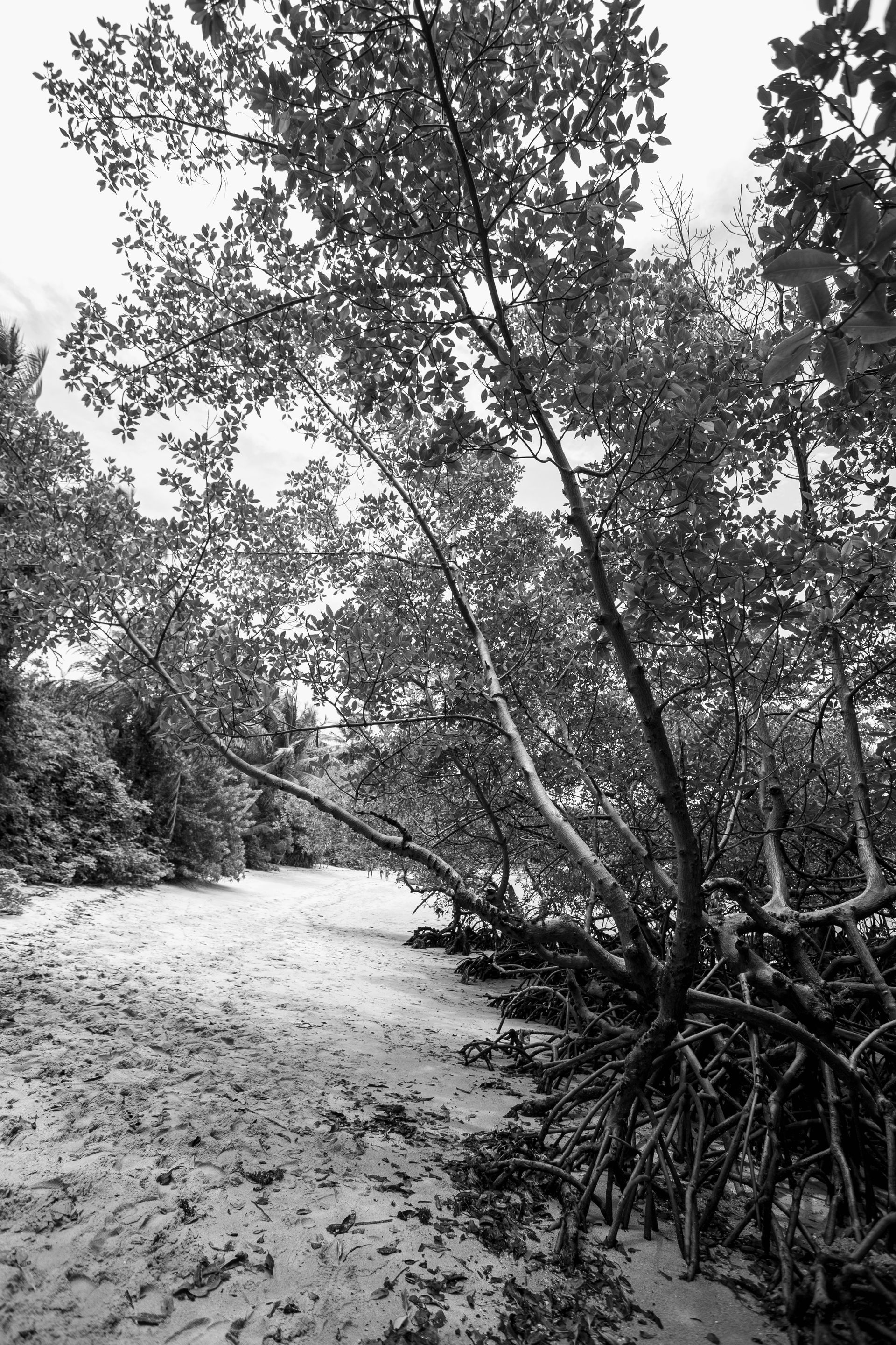 Encantos de Moreré - 2 - 0