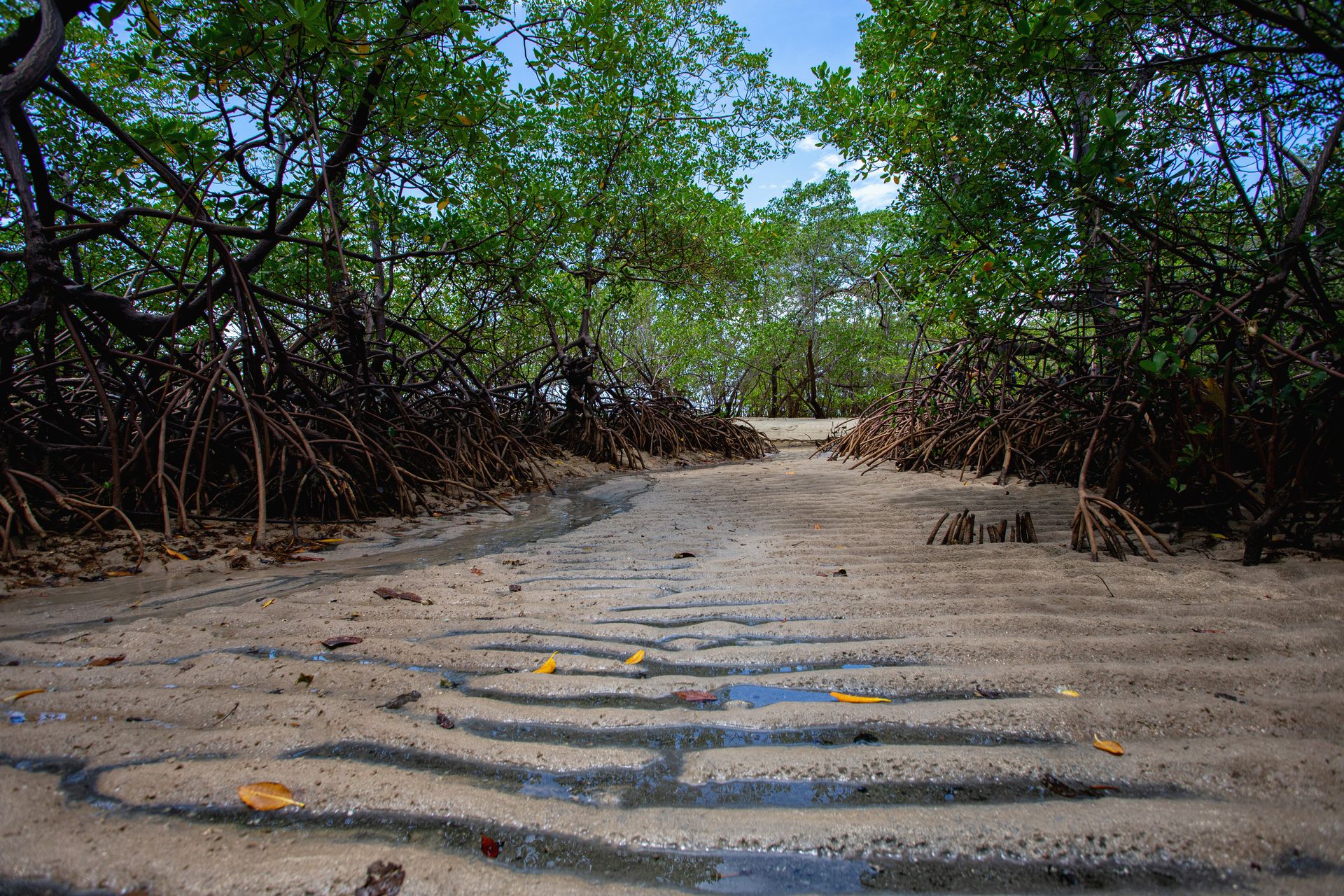 Encantos de Moreré - 2 - 1