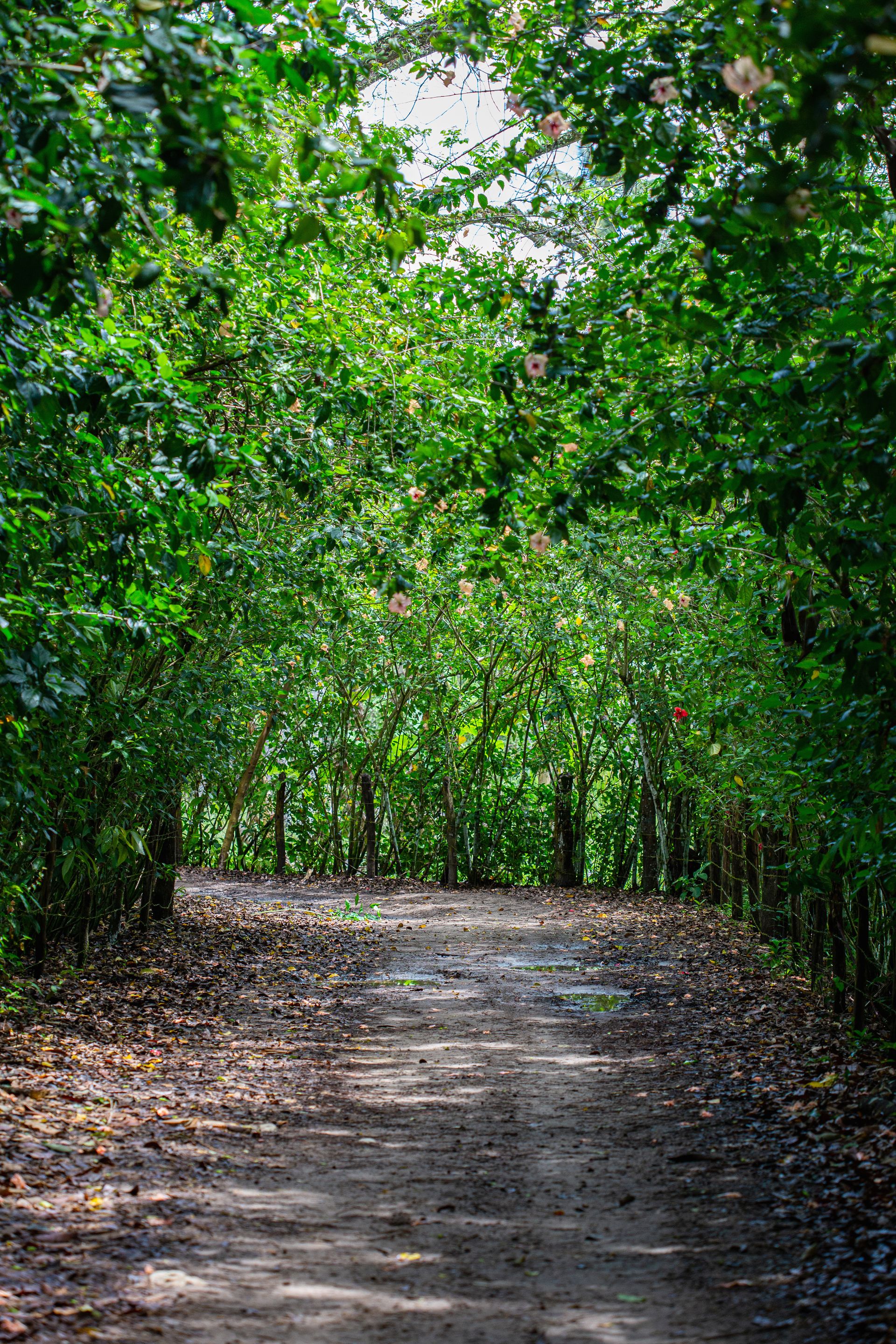 Encantos de Moreré - 2 - 0