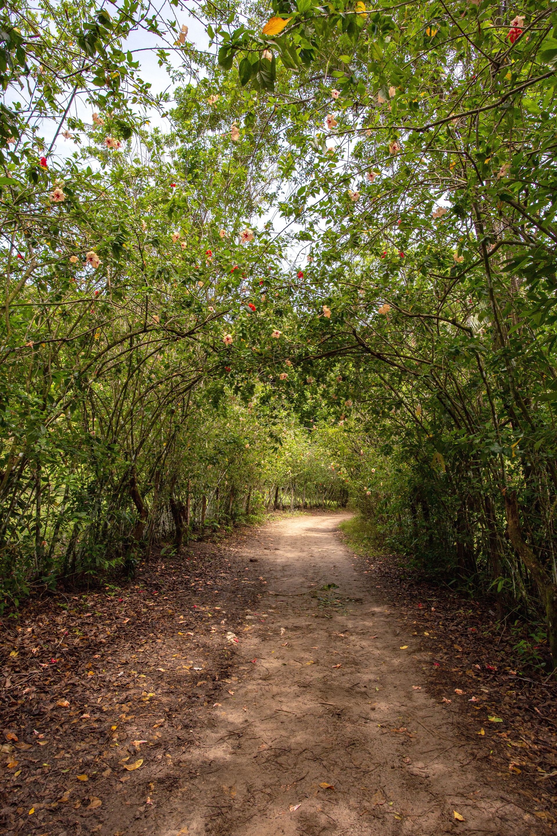 Encantos de Moreré - 2 - 1