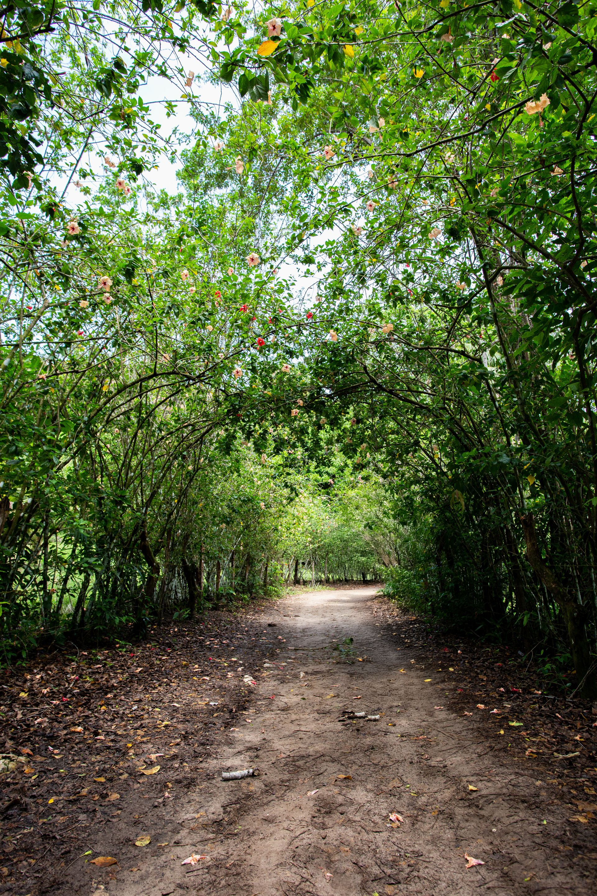 Encantos de Moreré - 2 - 0