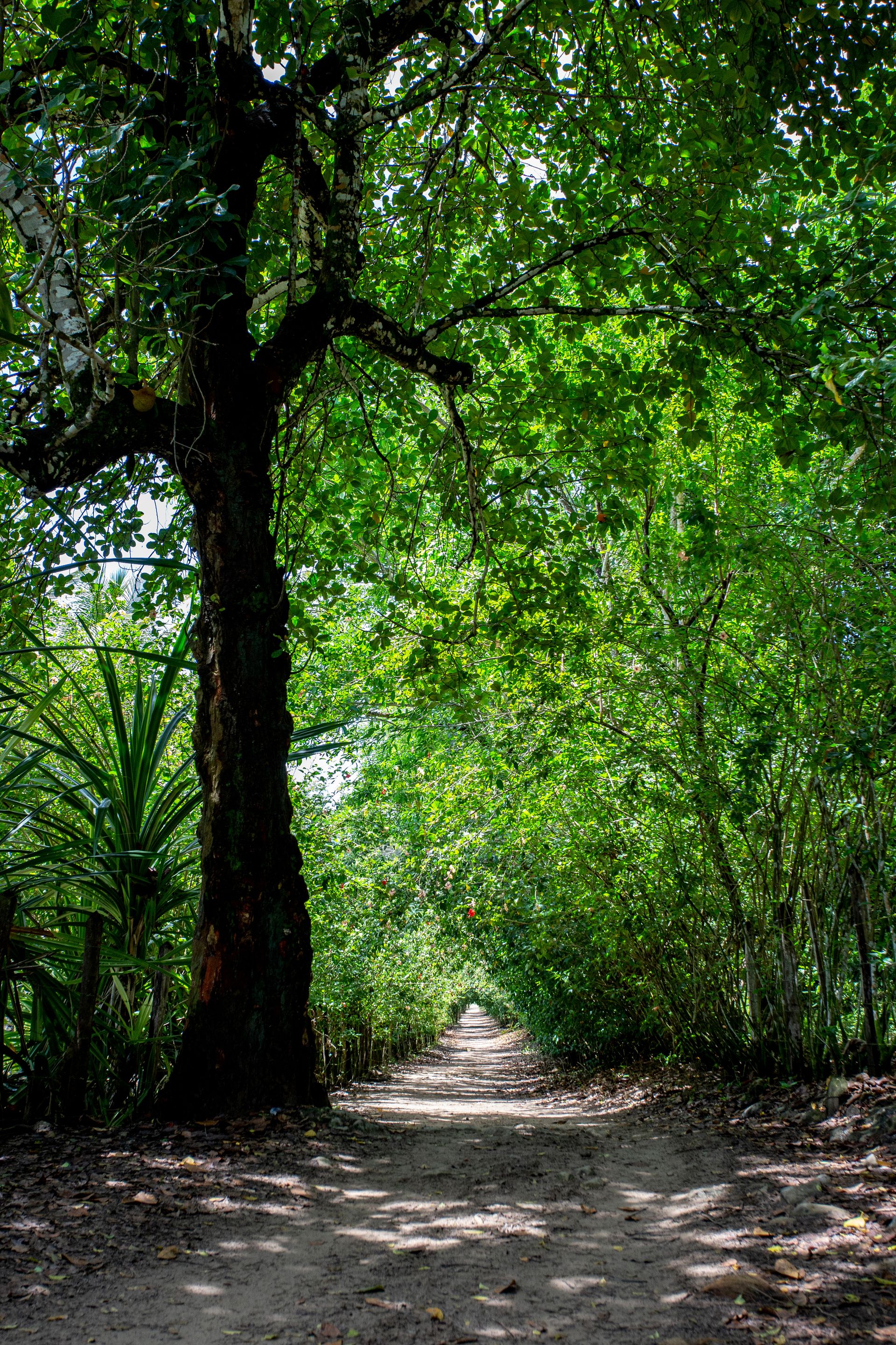 Encantos de Moreré - 2 - 1