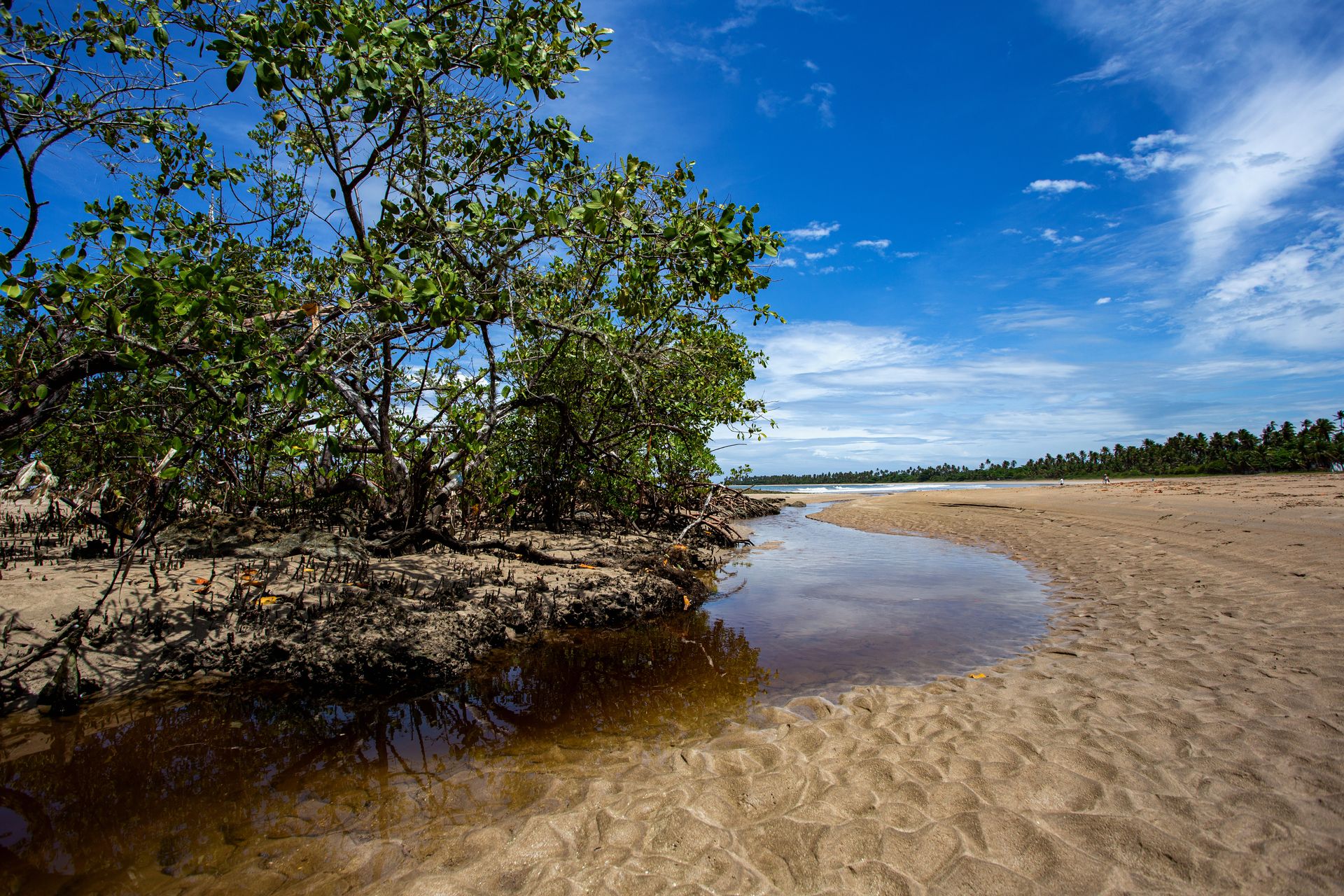 Encantos de Moreré - 2 - 1